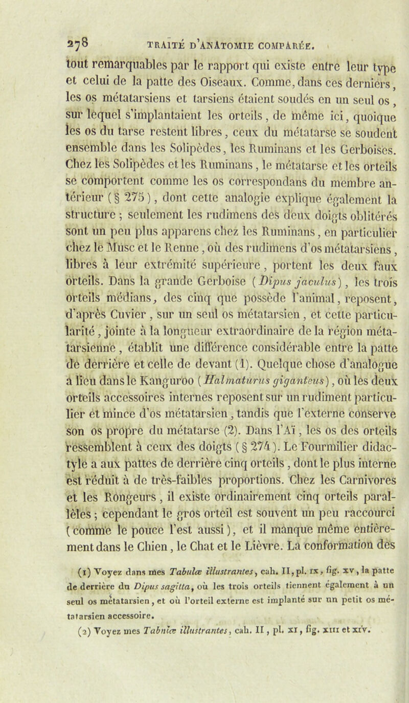 tout remarquables par le rapport qui existe entre leur type et celui de la patte des Oiseaux. Comme,dans ces derniers, les os métatarsiens et tarsiens étaient soudés en un seul os , sur lequel s’implantaient les orteils , de même ici, quoique les os du tarse restent libres, ceux du métatarse se soudent ensemble dans les Solipèdes, les Ruminans et les Gerboises. Chez les Solipèdes et les Ruminans, le métatarse et les orteils se comportent comme les os correspondans du membre an- térieur ( § 275 ), dont cette analogie explique également la structure ; seulement les rudimens des deux doigts oblitérés sont un peu plus appareils chez les Ruminans, en particulier chez le Müsc et le Renne, où des rudimens d’os métatarsiens, libres à leur extrémité supérieure, portent les deux faux orteils. Dans la grande Gerboise [Bipus jaculus), les trois orteils médians, des cinq que possède l’animal, reposent, d’après Cuvier , sur un seul os métatarsien, et cette particu- larité , jointe à la longueur extraordinaire de la région méta- tarsienne , établit une différence considérable entre la patte dé derrière et celle de devant (1). Quelque chose d’analogue a lieu dans le Kanguroo [Halmaturus giganteus), où les deux orteils accessoires internes reposent sur un rudiment particu- lier et mince d’os métatarsien, tandis que l’externe conserve son os propre du métatarse (2). Dans l’Aï, les os des orteils ressemblent à ceux des doigts (§ 274). Le Fourmilier didac- tyle a aux pattes de derrière cinq orteils, dont le plus interne est réduit à de très-faiblés proportions. Chez les Carnivores et les Rongeurs, il existe ordinairement cinq orteils paral- lèles ; cependant le gros orteil est souvent un peu raccourci ( comme le pouce l’est aussi ), et il manque même entière- ment dans le Chien, le Chat et le Lièvre. La conforination dés (1) Voyez dans mes Tabules illustrantes, cah. II, pl. ix, patte de derrière dn Dipus sagitta, o\i les trois orteils tiennent également à un seul os métatarsien, et où l’orteil externe est implanté sur un petit os mé- tatarsien accessoire.