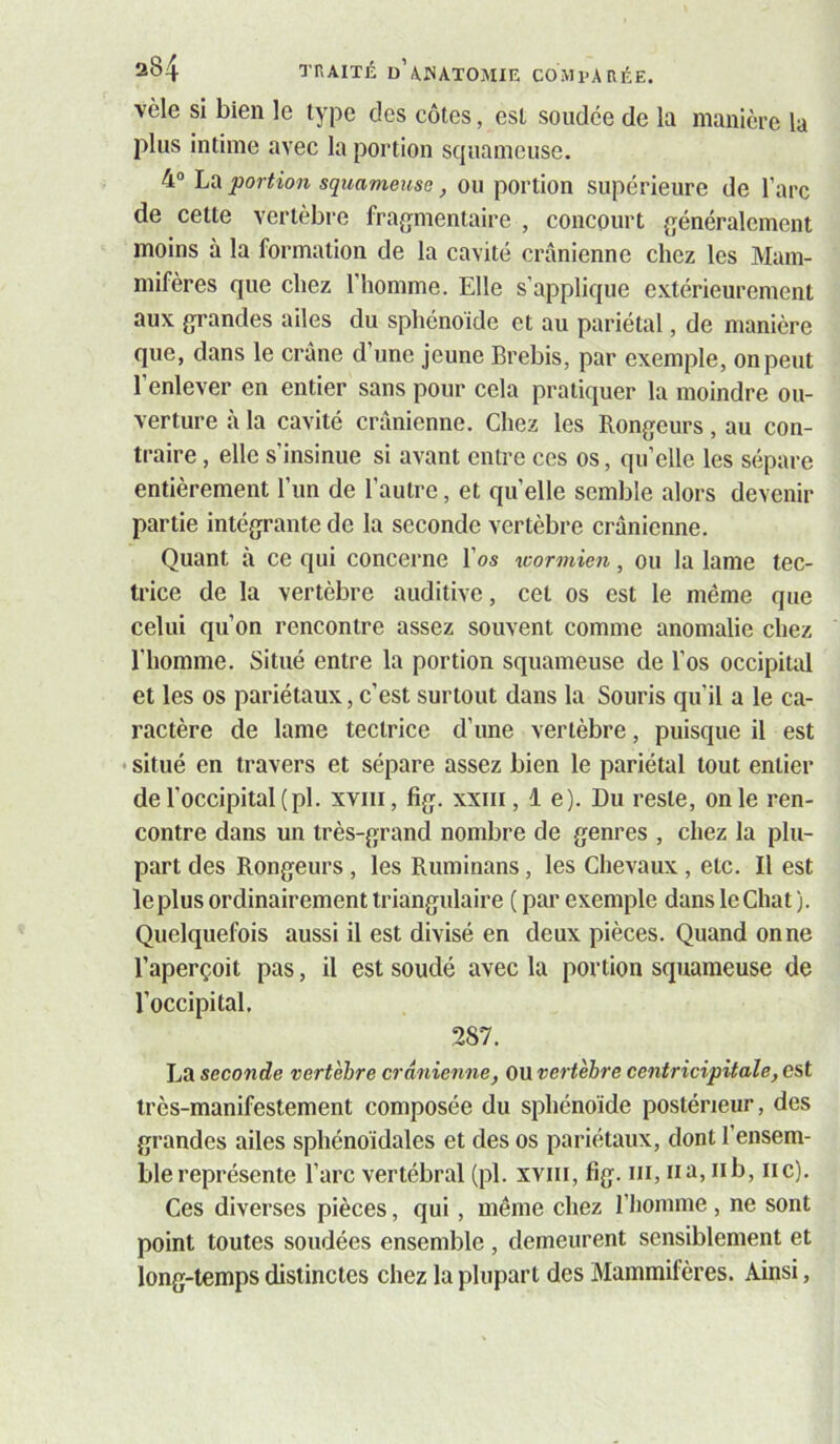 vêle si bien le type des côtes, est soudée de la manière la plus intime avec la portion scjuameuse. 4“ La portion squameuse, ou portion supérieure de l’arc de cette vertèbre fragmentaire , concourt généralement moins à la formation de la cavité crânienne chez les Mam- mifères que chez l’homme. Elle s’applique extérieurement aux grandes ailes du sphénoïde et au pariétal, de manière que, dans le crâne d’une jeune Brebis, par exemple, on peut l’enlever en entier sans pour cela pratiquer la moindre ou- verture à la cavité crânienne. Chez les Rongeurs, au con- traire , elle s’insinue si avant entre ces os, qu’elle les sépare entièrement l’un de l’autre, et quelle semble alors devenir partie intégrante de la seconde vertèbre crânienne. Quant à ce qui concerne l’os wormien, ou la lame tec- trice de la vertèbre auditive, cet os est le même que celui qu’on rencontre assez souvent comme anomalie chez l’homme. Situé entre la portion squameuse de l’os occipital et les os pariétaux, c’est surtout dans la Souris qu’il a le ca- ractère de lame tectrice d’une vertèbre, puisque il est • situé en travers et sépare assez bien le pariétal tout entier de l’occipital (pl. xviii, fig. xxiii, 1 e). Du reste, on le ren- contre dans un très-grand nombre de genres , chez la plu- part des Rongeurs, les Ruminans, les Chevaux , etc. Il est leplus ordinairement triangulaire ( par exemple dans le Chat ). Quelquefois aussi il est divisé en deux pièces. Quand on ne l’aperçoit pas, il est soudé avec la portion squameuse de l’occipital. 287. La seconde vertèbre crânienne, OU vertèbre centricipitale, est très-manifestement composée du sphénoïde postérieur, des grandes ailes sphénoïdales et des os pariétaux, dont l’ensem- ble représente l’arc vertébral (pl. xviii, fig. m, na, iib, iic). Ces diverses pièces, qui, même chez l’homme , ne sont point toutes soudées ensemble, demeurent sensiblement et long-temps distinctes chez la plupart des Mammilères. Ainsi,