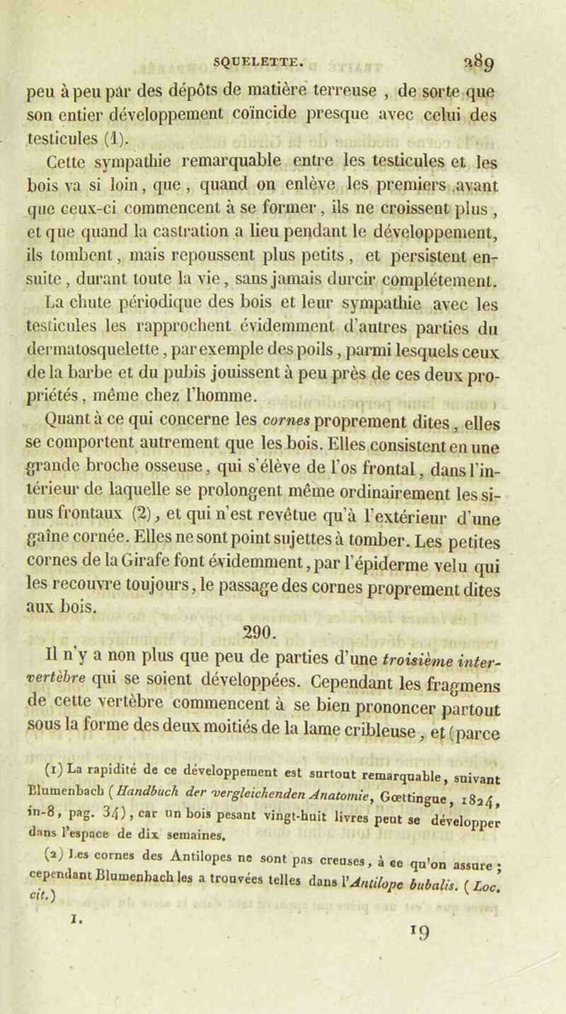 peu à peu par des dépôts de matière terreuse , de sorte que son entier développement coïncide presque avec celui des testicules (1). Cette sympathie remarquable entre les testicules et les bois va si loin, que , quand on enlève les premiers .avant que ceux-ci commencent à se former, ils ne croissent plus , et que quand la castration a lieu pendant le développement, ils tombent, mais repoussent plus petits , et persistent en- suite, durant tonte la vie, sans jamais durcir complètement. La chute périodique des bois et leur sympathie avec les testicules les rapprochent évidemment d’autres parties du dermatosquelette, par exemple des poils, parmi lesquels ceux de la barbe et du pubis jouissent à peu près de ces deux pro- priétés, même chez l’homme. Quant à ce qui concerne les cornes proprement dites, elles se comportent autrement que les bois. Elles consistent en une grande broche osseuse, qui s’élève de l’os frontal, dans l’in- térieur de laquelle se prolongent même ordinairement les si- nus frontaux (2), et qui n’est revêtue qu’à l’extérieur d’une gaine cornée. Elles ne sont point sujettes à tomber. Les petites cornes de la Girafe font évidemment, par l’épiderme velu qui les recouvre toujours, le passage des cornes proprement dites aux bois. 290. Il n y a non plus que peu de parties d une troisième inter- vertèbre qui se soient développées. Cependant les fragmens de cette vertèbre commencent à se bien prononcer partout sous la forme des deux moitiés de la lame cribleuse, ef ( parce (i)La rapidité de ce développement est snrtont remarquable, suivant Uamenhach (flandbuck der vergleichenden Anatomie, Gœttingne, 1824, in-8, pag. 34), car un bois pesant vingt-huit livres peut se développer dans l’espace de dix semaines. (a) J.es cornes des Antilopes ne sont pas creuses, à ce qu’on assure • cependant Blumenbach les a trouvées telles Antilope bubalis. {Loc. Cl t» ) I. *9