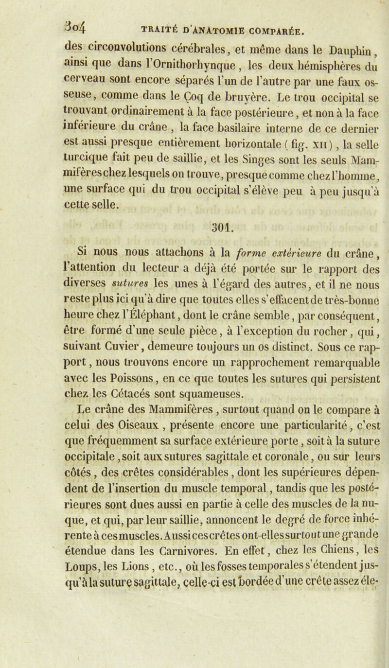 des circonvolutions cérébrales, et même dans le Dauphin, ainsi que dans l’Ornithorhynque , les deux hémisphères du cerveau sont encore séparés l’un de l’autre par une faux os- seuse, comme dans le Çoq de bruyère. Le trou occipital se trouvant ordinairement à la face postérieure, et non à la face inférieure du crâne , la face basilaire interne de ce dernier est aussi presque entièrement horizontale ( fig. xii), la selle turcique fait peu de saillie, et les Singes sont les seuls Mam- milèreschez lesquels on trouve, presquecomme chezl’homme, une surface qui du trou occipital s’élève peu à peu jusqu’à cette selle. 301. Si nous nous attachons à la forme extérieure du crâne, l’attention du lecteur a déjà été portée sur le rapport des diverses sutures les unes à l’égard des autres, et il ne nous reste plus ici qu’à dire que toutes elles s’effacent de très-bonne heure chez l’Éléphant, dont le crâne semble, par conséquent, être formé d’une seule pièce, à l’exception du rocher, qui, suivant Cuvier, demeure toujours un os distinct. Sous ce rap- port , nous trouvons encore un rapprochement remarquable avec les Poissons, en ce que toutes les sutures qui persistent chez les Cétacés sont squameuses. Le crâne des Mammifères , surtout quand on le compare à celui des Oiseaux , présente encore une particularité, c’est que fréquemment sa surface extérieure porte, soit à la suture occipitale, soit aux sutures sagittale et coronale, ou sur leurs côtés, des crêtes considérables, dont les supérieures dépen- dent de l’insertion du muscle temporal, tandis que les posté- rieures sont dues aussi en partie à celle des muscles de la nu- que, et qui, par leur saillie, annoncent le degré de force inhé- rente àcesmuscles.Aussicescrêtes ont-ellessurtoutune grande étendue dans les Carnivores. En effet, chez les Chiens, les Loups,les Lions, etc., oùlesfossestemporaless’étendent jus- qu’à la sutui’Ç sagittale, çelle-ci est bordée d’une crête assez éic-