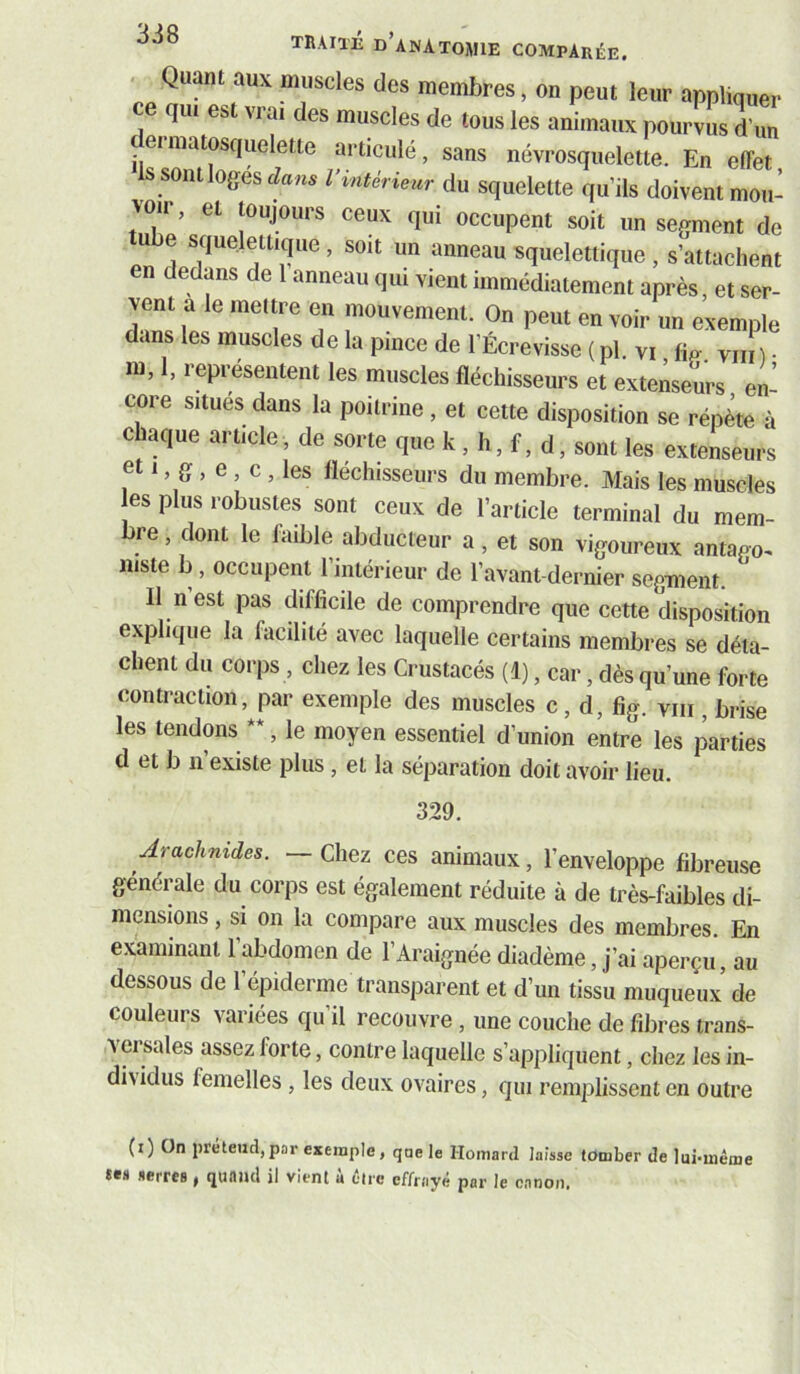 Quant aux muscles des membres, on peut leur appliquer qui es VI ai des muscles de tous les animaux pourvus d’un dermatosquelette articulé, sans névrosquelette. En effet s sont loges dans l’intérieur du squelette qu’ils doivent mou- voir, et toujours ceux qui occupent soit un segment de u e squelettique, soit un anneau squelettique , s’attachent en dedans de 1 anneau qui vient immédiatement après, et ser- vent a le mettre en mouvement. On peut en voir un exemple dans les muscles de la pince de l’Écrevisse ( pl. vi 1ip- viii) • ni, 1, représentent les muscles fléchisseurs et extenseurs en core situés dans la poitrine, et cette disposition se répète à chaque article, de sorte quek, h, f, d, sont les extenseurs et 1, g , e , c , les fléchisseurs du membre. Mais les muscles es plus robustes sont ceux de l’article terminal du mem- bre , dont le faible abducteur a, et son vigoureux antago- niste b , occupent l’intérieur de l’avant-dernier segment. Il n est pas difficile de comprendre que cette disposition explique la facilité avec laquelle certains membres se déta- chent du corps , chez les Crustacés (1), car, dès qu’une forte contraction, par exemple des muscles c, d, fig. viii, brise les tendons **, le moyen essentiel d’union entre les parties d et b n’existe plus , et la séparation doit avoir lieu. 329. Arachnides. - Chez ces animaux, l’enveloppe fibreuse générale du corps est également réduite à de très-faibles di- mensions , si on la compare aux muscles des membres. En examinant l’abdomen de l’Araignée diadème, j’ai aperçu, au dessous de l’épiderme transparent et d’un tissu muqueux de couleurs variées qu’il recouvre, une couche de fibres trans- versales assez forte, contre laquelle s’appliquent, chez les in- di\idus femelles , les deux ovaires, qui remplissent en outre (i) On jiréteud,pnr exemple, que le Homard laisse tomber de lui-même serres , quniul il vient à cire effrayé par le canon.