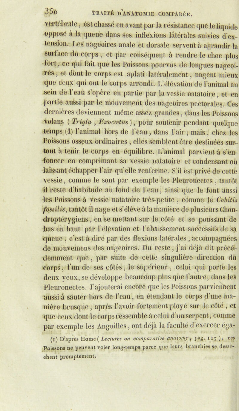 vertébrale, est chassé en avant par la résistance que le liquide oppose a la queue dans ses inflexions latérales suivies d’ex- tension. Les nageoires anale et dorsale servent à agrandir la surlace du corps, et par conséquent à rendre le choc plus fort, ce qui lait que les Poissons pourvus de longues nageoi- res , et dont le corps est aplati latéralement, nagent mieux que ceux qui ont le corps arrondi. L’élévation de l’animal au sein de l’eau s’opère en partie par la vessie natatoire, et en partie aussi par le mouvement des nageoires pectorales. Ces dernières deviennent même assez grandes, dans les Poissons volans ( Trigla , Exocœtm ), pour soutenir pendant quelque temps (1) l’animal hors de l’eau, dans l’air ; mais, chez les Poissons osseux ordinaires , elles semblent être destinées sur- tout à tenir le corps en équilibre. L’animal parvient à s’en- foncer en comprimant sa vessie natatoire et condensant ou laissant échapper l’air quelle renferme. S’il est privé de cette vessie, comme le sont par exemple les Pleuronectes , tantôt il reste d’habitude au fond de l’eau, ainsi que le font aussi les Poissons à vessie natatoire très-petite , comme le Cohitis fossilis, tantôt il nage et s’élève à la manière de plusieurs Chon- droptérygiens, en se mettant sur le côté et se poussant de bas en haut par l’élévation et l’abaissement successifs de sa queue , c’est-à-dire par des flexions latérales, accompagnées de mouvemens des nageoires. Du reste, j’ai déjà dit précé- demment que, par suite de cette singulière direction du corps, l‘im de ses côtés, le supérieur , celui qui porte les deux yeux, se développe beaucoup plus que l’autre, dans les Pleuronectes. J’ajouterai encore que les Poissons parviennent aussi a sauter hors de l’eau, en étendant le corps d’une ma- nière brusque, après l’avoir fortement ployé sur le côté , et que ceux dont le corps ressemble à celui d’un serpent, comme par exemple les Anguilles, ont déjà la faculté d’exercer éga- (l) D’nprès Home ( Lectures on comparative anatomy, p:ig. 117 ), ces Poissons ne peuvent voler long-temps parce que leurs Lrancbies se dessè- chent promptement.