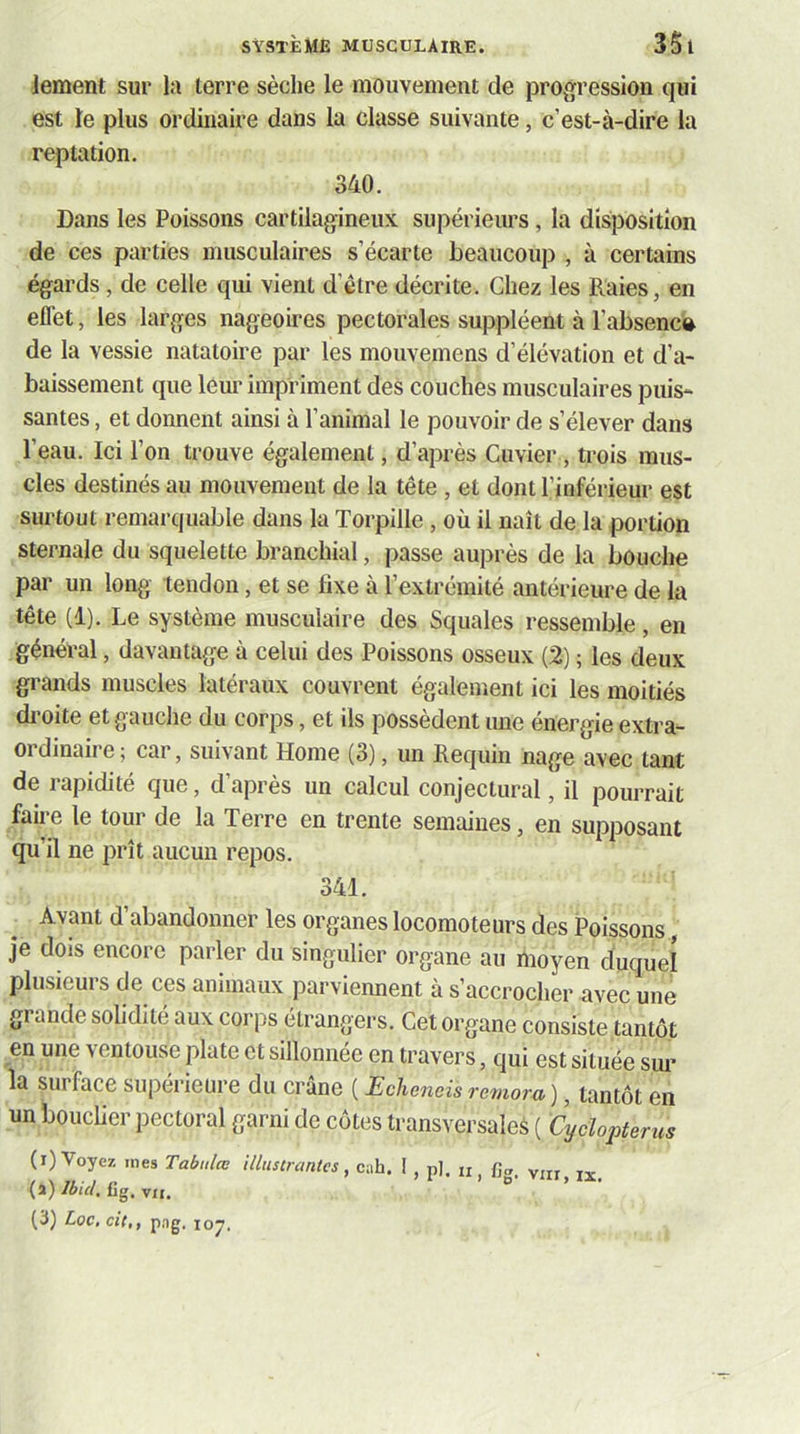 iement sur l:i terre sèche le mouvement de progression qui est te plus ordinaire dans la classe suivante, c’est-à-dire la reptation. 340. Dans les Poissons cartilagineux supérieurs, la disposition de ces parties musculaires s’écarte beaucoup , à certains égards, de celle qui vient d’être décrite. Chez les Raies, en effet, les larges nageoires pectorales suppléent à l’absenc» de la vessie natatoire par les mouvemens d’élévation et d’a- baissement que leur impriment des couches musculaires puis- santes , et donnent ainsi à l’animal le pouvoir de s’élever dans l’eau. Ici l’on trouve également, d’après Cuvier, trois mus- cles destinés au mouvement de la tête , et dont l’inférieur est surtout remarquable dans la Torpille, où il naît de la portion sternale du squelette branchial, passe auprès de la bouche par un long tendon, et se fixe à l’extrémité antérieure de la tête (1). Le système musculaire des Squales ressemble, en général, davantage à celui des Poissons osseux (2) ; les deux grands muscles latéraux couvrent également ici les moitiés di’oite et gauche du corps, et ils possèdent une énergie extra- ordinaire; car, suivant Home (3), un Requin nage avec tant de rapidité que, d’après un calcul conjectural, il pourrait faire le tour de la Terre en trente semaines, en supposant qu’il ne prît aucun repos. 341. Avant d’abandonner les organes locomoteurs des Poissons, je dois encore parler du singulier organe au moyen duquel plusieurs de ces animaux parviennent à s’accrocher avec une gi ande solidité aux corps étrangers. Cet organe consiste tantôt en une ventouse plate et sillonnée en travers, qui est située sm^ la surface supérieure du crâne ( JEchencis re^nora), tantôt en un bouclier pectoral garni de côtes transversales ( Cydopterus (i) Voyez mes Tabulœ illustrantes, c;ih. i , p], n fia. vin jx (a) Ibid, fig, vu. ° (3) Loc, cit,, p.ng, 107.