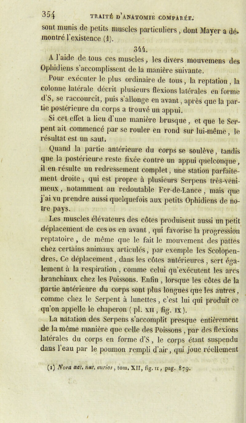 sont munis de petits muscles particuliers, dont Mayer a dé- montré l’existence (1). 3M. A 1 aide de tous ces muscles, les divers mouvemens des Ophidiens s accomplissent de la manière suivante. Pour exécuter le plus ordinaire de tous, la reptation , la colonne latérale décrit plusieurs flexions latérales en forme d S, se raccourcit, puis s allonge en avant, après que la par- tie postérieure du corps a trouvé un appui. Si cet effet a lieu d’une manière brusque, et que le Ser- pent ait commence par se rouler en rond sur lui-même, le résultat est un saut. Quand la partie antérieure du corps se soulève, tandis que la postérieure reste fixée contre un appui quelconque, il en résulte un redressement complet, une station parfaite- ment droite, qui est propre à plusieurs Serpens très-veni- meux , notamment au redoutable Fer-de-Lance, mais que j’ai vu prendre aussi quelquefois aux petits Ophidiens de no- tre pays. Les muscles élévateurs des côtes produisent aussi un petit déplacement de ces os en avant, qui favorise la progression reptatoire, de même que le fait le mouvement des pattes chez certains animaux articulés, par exemple les Scolopen- dres. Ce déplacement, dans les côtes antérieures , sert éga- lement à la respiration , comme celui qu’exécutent les arcs branchiaux chez les Poissons. Enfin , lorsque les côtes de la partie antérieure du corps sont plus longues que les autres, comme chez le Serpent à lunettes, c’est lui qui produit ce qu’on appelle le chaperon ( pl. xii, fig. ix). La natation des Serpens s’accomplit presque entièrement de la même manière que celle des Poissons , par des flexions latérales du corps en forme d’S, le corps étant suspendu dans l’eau par le poumon rempli d’air, qui joue réellement (i) Nova aet, nat, enrtos, tom, XII, fig. ii, pag. 879.