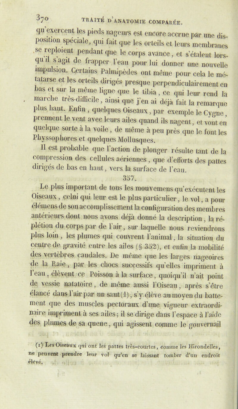 qu exercent les pieds na^îenrs est encore accrue par une dis- position spéciale, qui fait que les orteils et leurs membranes se reploient pendant que le corps avance, et s’étalent lors- qu il s agit de frapper l’eau pour lui donner une nouvelle impulsion. Certains Palmipèdes ont même pour cela le mé- tatarse et les orteils dirigés presque perpendiculairement en bas et sur la même ligne que le tibia , ce qui leur rend la marche tres-difficile, ainsi que j’en ai déjà fait la remarque plus haut. Enfin, quelques Oiseaux, par exemple le Cygne prennent le vent avec leurs ailes quand ils nagent, et vont en quelque sorte à la voile, de même à peu près que le font les Physsophores et quelques Mollusques. Il est probable que l’action de plonger résulte tant de la compression des cellules aériennes, que d’eflorts des pattes dirigés de bas en haut, vers, la simface de l’eau. .357. Le plus important de tous les mouvemens qu’exécutent les Oiseaux, celui qui leur est le plus particulier, le vol, a pour élémens de son accomplissement la configuration des membres antérieurs dont nous avons déjà donné la description, la ré- pletion du corps par de 1 air, sur laquelle nous reviendrons plus loin , les plumes qui couvrent l’animal, la situation du centre de gravité entre les ailes (§ 352), et enfin la mobilité des vertèbres caudales. De meme que les larges nageoires de la Raie, par les chocs successifs qu’elles impriment à 1 eau, élèvent ce Poisson à la surface, quoiqu’il n’ait point de vessie natatoire, de même aussi l’Oiseau, après s’être élancé dans 1 air par un saut(l), s’y élève au moyen du batte- ment que des muscles pectoraux d’une vigueur extraordi- naire impriment à ses ailes ; il se dirige dans l’espace à l’aide des plumes de sa queue, qui agissent comme le gouvernail (i)' Les Oiseaux qni ont les pattes très-courtes, comme les Hirondelles, ne peuvent prendre leur vol qu’en se laissant tomber d’un endroit élevé, ,,