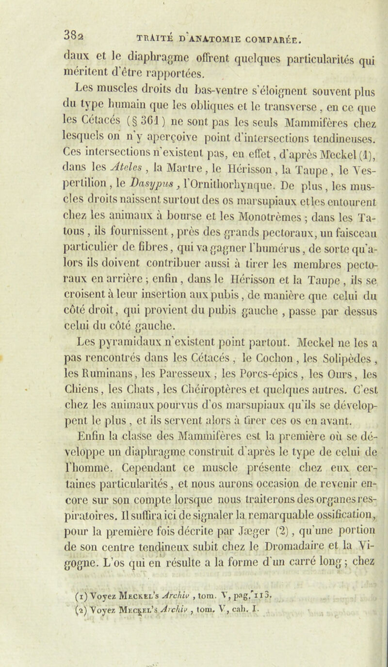 daux et le diaphrajime offrent quelques particularités qui méritent d’clre rapportées. Les muscles droits du bas-ventre s’éloignent souvent plus du type Immain que les obliques cl le transversc, en ce que les Cétacés (§ 361 ) ne sont pas les seuls Mammifères chez lesquels oh n y aperçoive point d'intersections tendineuses. Ces intersections n’existent pas, en effet, d’après Mcckel(l), dans les Ateles , la Martre , le Hérisson , la Taupe, le Ves- pertilion , le Dnsypus, 1 Ornilliorhynque. De plus, les mus- cles droits naissent surtout des os marsupiaux etles entourent chez les animaux à bourse et les Monotrèmes ; dans les Ta- tous , ils fournissent, près des grands pectoraux, un faisceau particulier de fibres, qui va gagner l'humérus, de sorte qu’a- lors ils doivent contribuer aussi à lii-er les membres pecto- raux en arrière ; enfin, dans le Hérisson et la Taupe , ils se croisent à leur insertion aux pubis, de manière que celui du coté droit, qui provient du pubis gauche , passe par dessus celui du côté gauche. Les pyramidaux n’existent point partout. Meckcl ne les a pas rencontrés dans les Cétacés , le Cochon , les Solipèdes , lesRuminans, les Paresseux, les Porcs-épics, les Ours, les Chiens, les Chats, les Chéiroptèi’es et quelques autres. C’est chez les animaux pourvus d’os marsupiaux qu’ils se dévelop- pent le plus , et ils servent alors à tirer ces os en avant. Enfin la classe des Mammifères est la première où se dé- veloppe un diaphragme construit d’après le type de celui de l’homme. Cependant ce muscle présente chez eux cer- taines particularités, et nous aurons occasion de revenir en- core sur son compte lorsque nous traiterons des organes res- piratoires. Il suffira ici de signaler la remarquable ossification, pour la première fois décrite par Jæger (2), qu’une portion de son centre tendineux subit chez le Dromadaire et la Vi- gogne. L’os qui en résulte a la forme d'un carré long ; chez (i) Voyez Meckel’s Archiv , tom. V, pag.’i 13, (a) Voyez MECjEt’s Archiv , tom. V, cali. I.