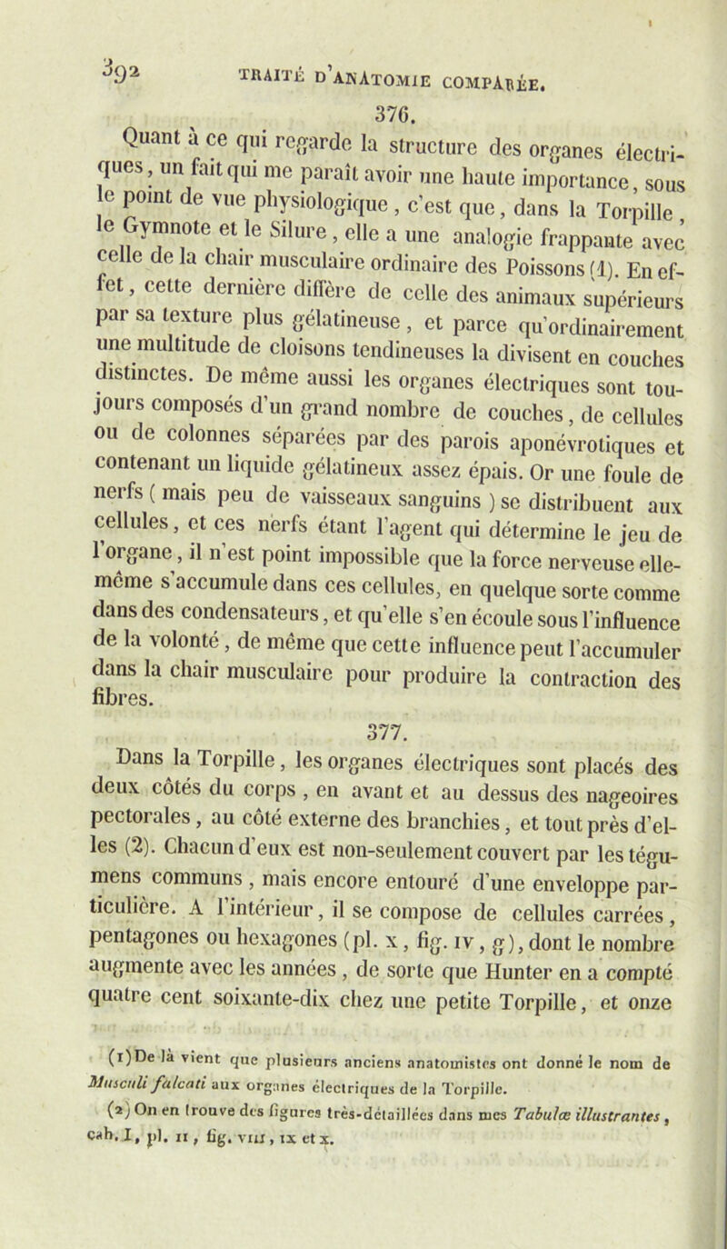 376. Quant a ce qui rcfvarde la structure des organes électri- ques, un fait qui me paraît avoir une haute importance, sous e point de vue physiologique , c’est que, dans la Torpille le Gymnote et le Silure, elle a une analogie frappante avec celle de la chair musculaire ordinaire des Poissons fl) En ef- fet , cette dernière diffère de celle des animaux supérieurs par sa texture plus gélatineuse , et parce qu’ordinairement une multitude de cloisons tendineuses la divisent en couches distinctes. De même aussi les organes électriques sont tou- jours composés d’un grand nombre de couches, de cellules ou de colonnes séparées par des parois aponévrotiques et contenant un liquide gélatineux assez épais. Or une foule de nerfs ( mais peu de vaisseaux sanguins ) se distribuent aux cellules, et ces nerfs étant l’agent qui détermine le j’eu de 1 organe, il n est point impossible que la force nerveuse elle- même s’accumule dans ces cellules, en quelque sorte comme dans des condensateurs, et qu’elle s’en écoule sous l’influence de la volonté, de même que cette influence peut l’accumuler dans la chair musculaire pour produire la contraction des fibres. 377. Dans la Torpille, les organes électriques sont placés des deux cotés du corps , en avant et au dessus des nageoires pectorales, au côté externe des branchies, et tout près d’el- les (2). Chacun d eux est non-seulement couvert par lestégu- mens communs , mais encore entouré d’une enveloppe par- ticulière. A rintérieur, il se compose de cellules carrées, pentagones ou hexagones (pl. x, fig. iv, g), dont le nombre augmente avec les années, de sorte que Hunter en a compté quatre cent soixante-dix chez une petite Torpille, et onze (r)De là vient que plusieurs anciens anatomistes ont donné le nom de MuicuU fulcaû aux organes électriques de la Torpille. (a) On en (rouve des ligures très-détaillées dans mes Tabula illustrantes, cah. I, j)l. Il, lig. vm , IX et X.