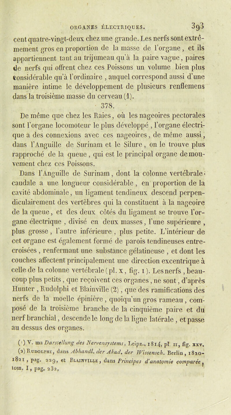 cent quatre-ving t-deux chez une grande. Les nerfs sont extrê- mement gros en proportion de la masse de l’organe, et ils appartiennent tant au trijumeau qu’à la paire vague, paires de nerfs qui offrent chez ces Poissons un volume bien plus tonsidérable qu’à l’ordinaire , auquel correspond aussi d’une manière intime le développement de plusieurs renflemens dans la troisième masse du cerveau (1). 378. De même que chez les Raies, où les nageoires pectorales sont l’organe locomoteur le plus développé , l’organe électri- que a des connexions avec ces nageoires, de même aussi, dans l’Anguille de Surinam et le Silure, on le trouve plus rapproché de la queue, qui est le principal organe de mou- vement chez ces Poissons. Dans l’Anguille de Surinam, dont la colonne vertébrale • caudale a une longueur considérable , en proportion de la cavité abdominale, un ligament tendineux descend perpen- diculairement des vertèbres qui la constituent à la nageoire de la queue, et des deux côtés du ligament se trouve l’or- gane électrique , divisé en deux masses, l’une supérieure , plus grosse, l’autre inférieure , plus petite. L’intérieur de cet organe est également formé de parois tendineuses entre- croisées , renfermant une substance gélatineuse , et dont les couches affectent principalement une direction excentrique à celle de la colonne vertébrale ( pl. x, fig. i ). Les nerfs , beau- coup plus petits, que reçoivent ces organes, ne sont, d’après Hunter , Rudolphi et Blainville (2), que des ramifications des nerfs de la moelle épinière, quoiqu’un gros rameau, com- posé de la troisième branche de la cinquième paire et du nerf branchial, descende le long de la ligne latérale, et passe au dessus des organes. (i) V. ma Darstellung ties Nervensystems, I.eipz., i8l4, pl. ii, fig. xxv. (a) Rudolphi, dans Abhandl. der Akad. der JFissensch. Berlin, 1820- 1821 , pag. 22g, et Bl\imvilî/E, dans Principes d’anatoinic comparée^ lom, I, pag, 282,