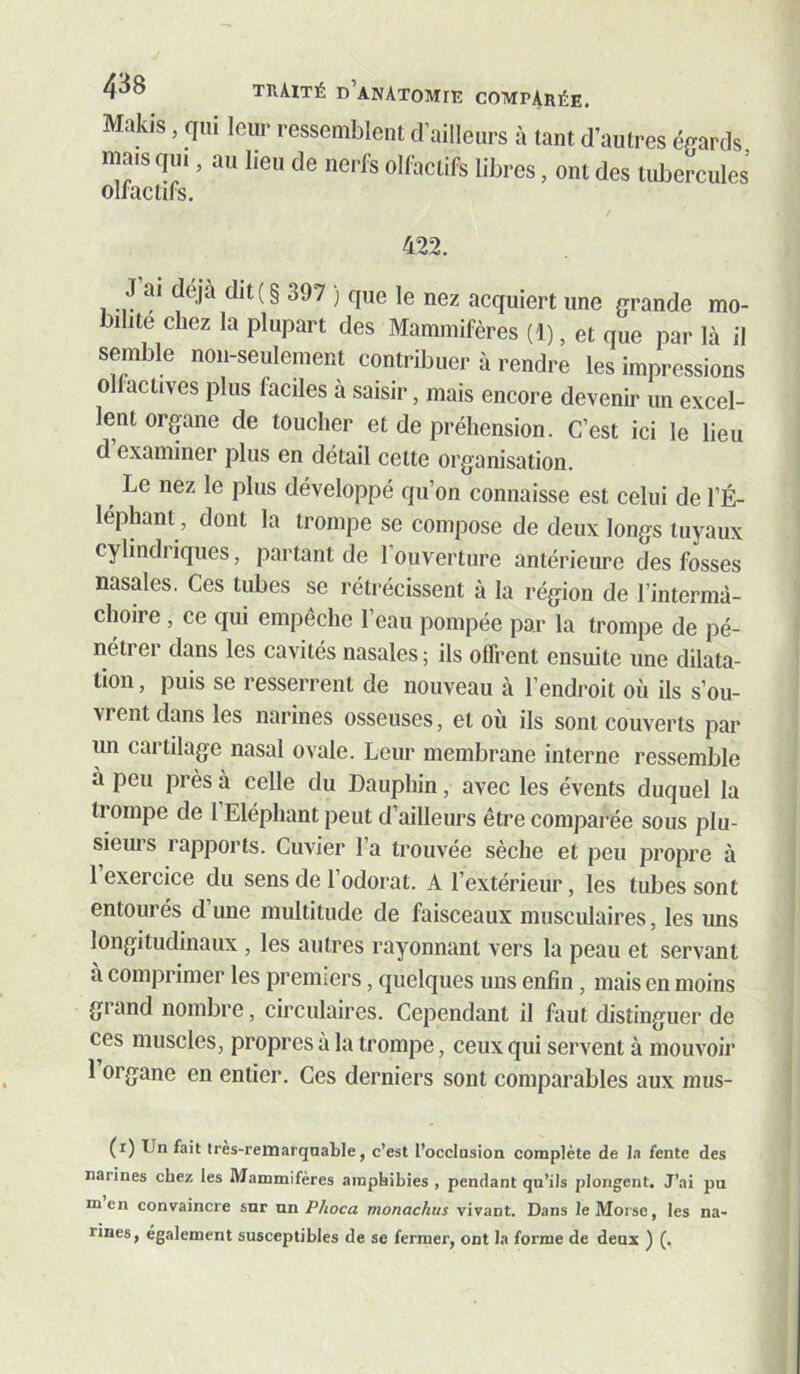 Makis, qui leur ressemblent d’ailleurs à tant d’autres épards mais qiu , au heu de nerfs olfactifs libres, ont des tubercules 422. J’ai déjà dit (§ 397 ) que le nez acquiert une grande mo- bilité chez la plupart des Mammifères (1), et que par là il semble non-seulement contribuer à rendre les impressions ollactives plus faciles à saisir, mais encore devenir un excel- lent organe de toucher et de préhension. C’est ici le lieu d’examiner plus en détail cette organisation. ^ Le nez le plus développé qu’on connaisse est celui de l’É- léphant, dont la trompe se compose de deux longs tuyaux cylindriques, partant de l’ouverture antérieure des fosses nasales. Ces tubes se rétrécissent à la région de l’intermà- choire, ce qui empêche l’eau pompée par la trompe de pé- nétrei dans les cavités nasales ; ils olfrent ensuite une dilata- tion , puis se resserrent de nouveau à l’endroit où ils s’ou- vrent dans les narines osseuses, et où ils sont couverts par un cartilage nasal ovale. Leur membrane interne ressemble à peu près à celle du Dauphin, avec les évents duquel la trompe de 1 Eléphant peut d’ailleurs être comparée sous plu- sieurs rapports. Cuvier l’a trouvée sèche et peu propre à 1 exercice du sens de l’odorat. A l’extérieur, les tubes sont entourés d’une multitude de faisceaux musculaires, les uns longitudinaux , les autres rayonnant vers la peau et servant à comprimer les premiers, quelques uns enfin, mais en moins giand nombre, circulaires. Cependant il faut distinguer de ces muscles, propres à la trompe, ceux qui servent à mouvoir 1 organe en entier. Ces derniers sont comparables aux miis- (r) Un fait Irès-remarqaable, c’est l’occlnsion complète de la fente des narines chez les Mammifères amphibies , pendant qu’ils plongent. J’ai pu men convaincre snr un Phoca monachus vivant. Dans le Morse, les na- rines, également susceptibles de se fermer, ont la forme de deux ) (.