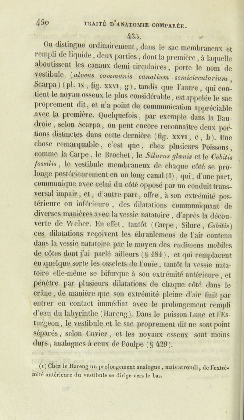 435. On dislinjîue ordinairement, dans le sac membraneux et rempli de liquide, deu^t parties, dont la première, à laquelle aboutissent les canaux demi-circulaires, porte le nom de vestibule [alveus commums canalium semicircularium , Scarpa) (pl. ix , fig. xxvi, g), tandis que 1 autre , qui con- tient le noyau osseux le plus considérable, est appelée le sac proprement dit, et n’a point de communication appréciable avec la première. Quelquefois, par exemple dans la Bau- droie , selon Scarpa, on peut encore reconnaître deux por- tions distinctes dans cette dernière (fig. xxvi, c, b). Une chose remarquable, c’est que, chez plusieurs Poissons, comme la Carpe , le Brochet, le Silunis glanis et le Cobitis fossilis, le vestibule membraneux de chaque coté se pro- longe postérieurement en un long canal (i), qui, d’une part, communique avec celui du coté opposé par un conduit trans- versal impair, et, d autre part, offre, à son extrémité pos- térieure ou inférieure , des dilatations communiquant de diverses manières avec la vessie natatoire , d’après la décou- verte de Weber. En effet, tantôt (Carpe, Silure, Cobitis) ces dilatations reçoivent les ébranlemens de l’air contenu dans la vessie natatoire par le moyen des riidimens mobiles de côtes dont ] ai parlé ailleurs (§ 181), et qui remplacent en quelque sorte les osselets de l’ouïe, tantôt la vessie nata- toire elle-même se bifurque à son extrémité antérieure, et pénètre par plusieurs dilatations de chaque côté dans le crâne, de manière que son extrémité pleine d’air finit par entrer en contact immédiat avec le prolongement rempli d’eau du labyrinthe (Hareng). Dans le poisson Lune et l’Es- turgeon , le vestibule et le sac proprement dit ne sont point séparés, selon Cuvier, et les noyaux osseux sont moins durs, analogues à ceux de Poulpe ( § 429). (i) Chez le Hareng un prolongement analogue , mais arrondi, de l'extré- mité anterieure du vestibule se dirige vers le bas.