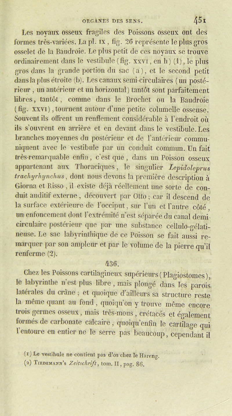 Les noyaux osseux fragiles des Poissons osseux ont des formes très-variées. La pl. ix, fig. 26 représente le plus gros osselet de la Baudroie. Le plus petit de ces noyaux se trouve ordinairement dans le vestibule ( fig. xxvi, en h ) (1), le plus gros dans la grande portion du sac (a), et le second petit dans la plus étroite (b). Les canaux semi-circulaires (un posté- rieur , un antérieur et un horizontal ) tantôt sont parfaitement libres, tantôt, comme dans le Brochet ou la Baudroie (fig. XXVI), tournent autour d’une petite columelle osseuse. Souvent ils offrent un renflement considérable à l’endroit où ils s’ouvrent en arrière et en devant dans le vestibule. Les branches moyennes du postérieur et de l’antérieur commu- niquent avec le vestibule par un conduit commun. Un fait très-remarquable enfin, c’est que , dans un Poisson osseux appartenant aux Thoraciques, le singulier Lepidoleprus trachyrhyncJms, dont nous devons la première description à Giorna et Risso , il existe déjà réellement une sorte de con- duit auditif externe, découvert par Otto ; car il descend de la surface extérieure de l’occiput, sur l’un et l’autre côté , un enfoncement dont l’extrémité n’est séparée du canal demi circulaire postérieur que par une substance cellulo-gélati- neuse. Le sac labyrinthique de ce Poisson se fait aussi re- marquer par son ampleur et par le volume de la pierre qu’il renferme (2). 436. Chez les Poissons cartilagineux supérieurs (Plagiostomes), le labyi inthe n est plus libre , mais plonge dans les parois latérales du crâne ; et quoique d’ailleurs sa structure reste la même quant au fond, quoiqu’on y trouve même encore trois germes osseux, mais très-mous, crétacés et également formés de carbonate calcaire, quoiqu’enfin le cartilage qui l’entoure en entier ne le serre pas beaucoup, cependant il (1) Le vesiibule ne contient pas d’os chez le Hareng. (2) XrEDEMANw’s Zcitschrîft, tom, II,pag. 86.