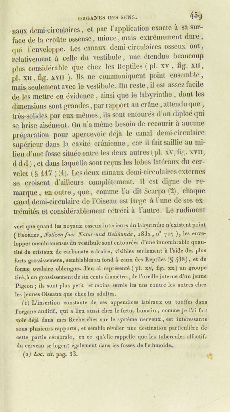 naux demi-circulaires, et par l’application exacte à sa sur- face de la croûte osseuse, mince, mais extrêmement dure, qui l'enveloppe. Les canaux demi-circulaires osseux ont, relativement à celle du vestibule, une etendue beaucoup plus considérable que chez les Reptiles ( pl. xv , fig. xii, pl. XII, fig. XVII ). Ils ne communiquent point ensemble, mais seulement avec le vestibule. Du reste, il est assez facile de les mettre en évidence , ainsi que le labyrinthe , dont les dimensions sont grandes, par rapport au crâne, attendu que, très-solides par eux-mêmes, ils sont entourés d’un diploé qui se brise aisément. On n’a même besoin de recourir à aucune préparation pour apercevoir déjà le canal demi-circulaire supérieur dans la cavité crânienne , car il fait saillie au mi- lieu d’une fosse située entre les deux autres ( pl. xv, fi{p xvii, d d d ), et dans laquelle sont reçus les lobes latéraux du cer- velet ( § 117 ) (1). Les deux canaux demi-circulaires externes se croisent d’ailleurs complètement. Il est digne de re- marque , en outre, que, comme l’a dit Scarpa (2), chaque canal demi-circulaire de l’Oiseau est large à l’une de ses ex- trémités et considérablement rétréci à l’autre. Le rudiment vert qne quand les noyaux osseux intérieurs du l.aLyrintbe n’existent point ( Froriep, Notizen fuer Natur-und üeilkunde, 1882 , n° 707 ), les enve- loppes membraneuses du vestibule sont entourées d’une innombrable quan- tité de cristaux de carbonate calcaire, visibles seulement à l’aide des plus forts grossissemens, semblables au fond à ceux des Reptiles (§ 438) , et de forme ovalaire oblongue. J’en ai représenté ( pl. xv, fig. xx) un groupe tiré, à un grossissement de six cents diamètres, de l’oreille interne d’un jeune Pigeon ; ils sont plus petit et moins serrés les uns contre les autres cliez les jeunes Oiseaux que chez les adultes. Ci) L’insertion constante de ces appendices latéraux on touffes dans l’organe auditif, qui a lieu aussi chez le fœtus humain , comme je l’ai fait voir déjà dans mes Recherches sur le système nerveux, est intéressante sous plusieurs rapports, et semble révéler une destination particulière de cette partie cérébrale, en ce qu’elle rappelle que les tubercules olfactifs du cerveau se logent également dans les fosses de l’ethmoide.