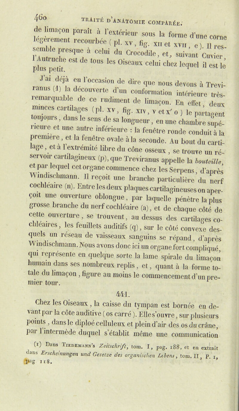 do limaçon parait à l’extérieur sous la forme d’une corne ocerement recourbée ( pl. xv. fig. x.. et xv„. e) I ro l’Allr“‘i “ Cuvier pfus pet! ' il « lé J ' T dire que nous devons à Trevi- ranus (J) la decouverte d’un conformation intérieure très- lemaïquable de ce rudiment de limaçon. En effet deux minces cartilages (pl. xv, fi,, xiv, v et x'o ) le toujours, dans le sens de sa longueur, en une cliamL^e supé- rieure et une autre inférieure : la fenêtre ronde conduit à la piemiere, et la fenêtre ovale à la seconde. Au bout du carti- age, et a 1 extrémité libre du cône osseux , se trouve un ré- servoir cartilagineux (P), que Treviranus appelle la bouteille et par lequel cet organe commence chez lesSerpens, d’après Windischmann. Il reçoit une branche particulière du nerf cochleaire (n). Entre les deux plaques cartilagineuses on aper- çoit une ouverture oblongue, par laquelle pénètre la plus grosse branche du nerf cochléaire (a), et de chaque côté de cette ouverture, se trouvent, au dessus des cartilages co- chleaires, les feuillets auditifs (q), sur le côté convexe des- quels un réseau de vaisseaux sanguins se répand, d’après Windischmann. Nous avons donc ici un organe fort compliqué, qui représente en quelque sorte la lame spirale du limaçon humain dans ses nombreux replis, et, quant à la forme to- tale du limaçon, figure au moins le commencement d’un pre- mier tour. * 441. Chez les Oiseaux, la caisse du tympan est bornée en de- vant par la côte auditive ( os carré ). Elles’ouvre, sur plusieui's points , dans le diploé celluleux et plein d’air des os du crâne, pai 1 intermède duquel s’établit même une comiiiunication (i) Dans Tiedemann’s Zeitschrift, tom. I, pag. i88, et en extrait dans Erscheinungen und Gesetze des organischen Ltbens, tom. II P i .iwg ir8. > ■ »