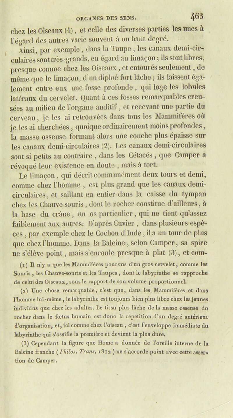 chez les Oiseaux (1), et celle des diverses parties les unes à l’égard des autres varie souvent à un haut degré. Ainsi, par exemple, dans la Taupe , les canaux demi-cir- culaires sont très-grands, eu égard au limaçon ; ils sont libres, presque comme chez les Oiseaux, et entourés seulement, de même que le limaçon, d’undiploé fort lâche ; ils laissent éga- lement entre eux une fosse profonde , qui loge les lobules latéraux du cervelet. Quant à ces fosses remarquables creu- sées au milieu de l’organe auditif, et recevant une partie du. cerveau, je les ai retrouvées dans tous les Mammifères où je les ai cherchées, quoique ordinairement moins profondes, la masse osseuse formant alors une couche plus épaisse sur les canaux demi-circulaires (2). Les canaux demi-circulaires sont si petits au contraire , dans les Cétacés, que Camper a révoqué lem’ existence en doute , mais à tort. Le limaçon, qui décrit communément deux tours et demi, comme chez l’homme , est plus grand que les canaux demi- circulaires , et saillant en entier dans la caisse du tympan chez les Chauve-souris, dont le rocher constitue d’ailleurs, à la base du crâne, un os particulier, qui ne tient qu’assez faiblement aux autres; D’après Cuvier , dans plusieurs espè- ces , par exemple chez le Cochon d’Inde, il a un tour de plus que chez l’homme. Dans la Baleine, selon Camper, sa spire ne s’élève point, mais s’enroule presque à plat (3), et com- (1) Il n’y a que les Mammifères poarvns d’un gros cervelet, comme les Souris , les Chauve-souris et les Taupes , dont le labyrinthe se rapproche de celui des Oiseaux, sous le rapport de son volume proportionnel. (2) Une chose remarquable, c’est que, dans les Mammifères et dans l’homme lui-même, le labyrinthe est toujours bien plus libre chez les jeunes individus que chez les adultes. Le tissu plus lâche de la masse osseuse du rocher dans le fœtus humain est donc la répétition d’un degré antérieur d’organisation, et, ici comme chez l’oiseau, c’est l’enveloppe immédiate du labyrinthe qui s’ossifie la première et devient la plus dure. (3) Cependant la figure que Home a donnée de l’oreille interne de la Baleine franche ( Vhilos. Trans, 1812 ) ne s accorde point avec cette asser* tion de Camper.