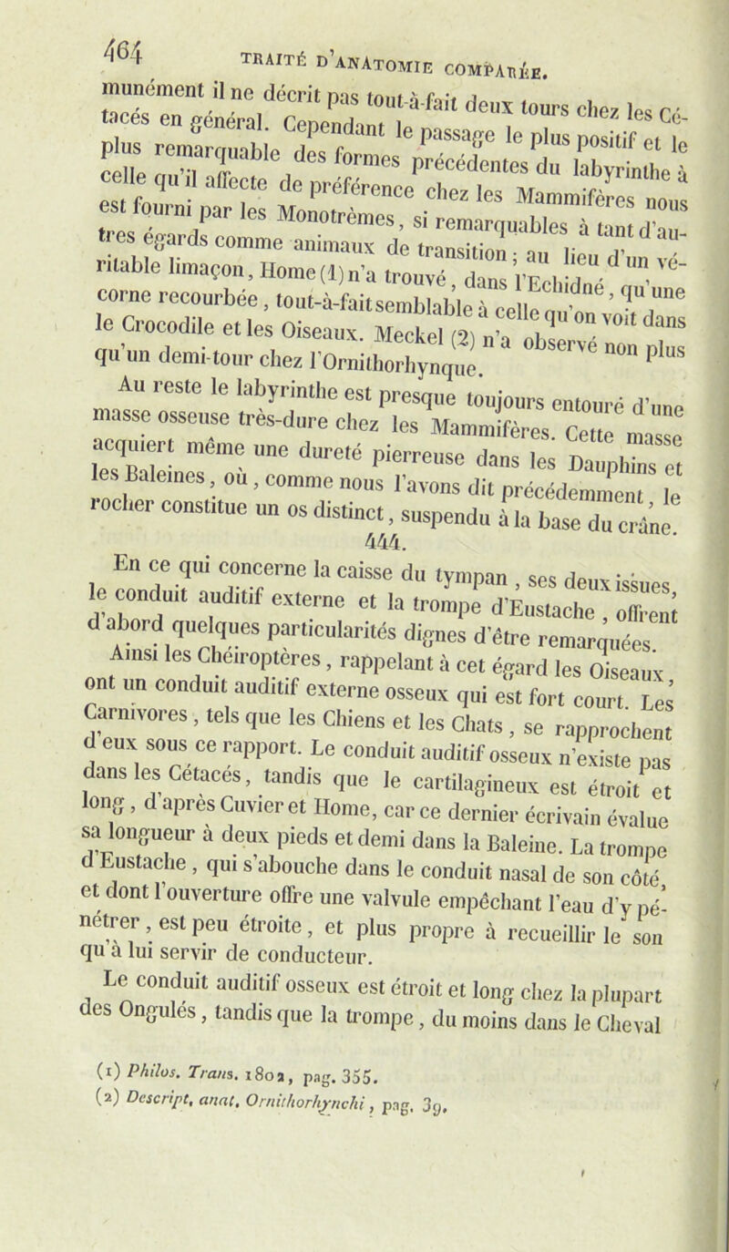 iTiiinomGnt il ne dccrif n^ic tn»if ^ r ** t S~=Ï?F niable limaçon, Home (1) n'a troav'é Tn rÊcl, 1 “ corne reeourbée. loul-à-faitsemblable à celle m ^ le Crocodile et les Oiseaux Meckel 12) n’a d qu'un demi-tour chez l'Orni,“^ “ P“-’ Au reste le labyrinthe est presque toujours entouré d'une assc osseuse tres-dure chez les Mammifères. Cette masse acqumrt meme une dureté pierreuse dans les les Baleines, ou, comme nous l'avons dit précédemment le rocher constitue un os distinct, suspendu à la base du crâne 444. En ce qui concerne la caisse du tympan . ses deux iskues Jaird **' ‘'■Eustache , offrent d abord quelques particularités dignes d'étre remarmiées Ainsi les Cheiroptcres, rappelant à cet égard les Oiseaux ont un conduit auditif externe osseux qui est fort court Les carnivores, tels que les Chiens et les chats, se rapprochent d eux sous ce rapport. Le conduit auditif osseux n'existe nas ans les Cétacés, tandis que le cartilagineux est étroit et long, d apres Cuvier et Home, car ce dernier écrivain évalue sa longueur a deux pieds et demi dans la Baleine. La trompe d Eustache, qui s abouche dans le conduit nasal de son côté et dont 1 ouverture offre une valvule empêchant l’eau d’y pé- nétrer , est peu étroite, et plus propre à recueillir le son f]u a lui servir de conducteur. Le conduit auditif osseux est étroit et long chez la plupart des Ongulés, tandis que la trompe, du moins dans le Cheval (1) Philos. Tram. i8oü, pag. 355.