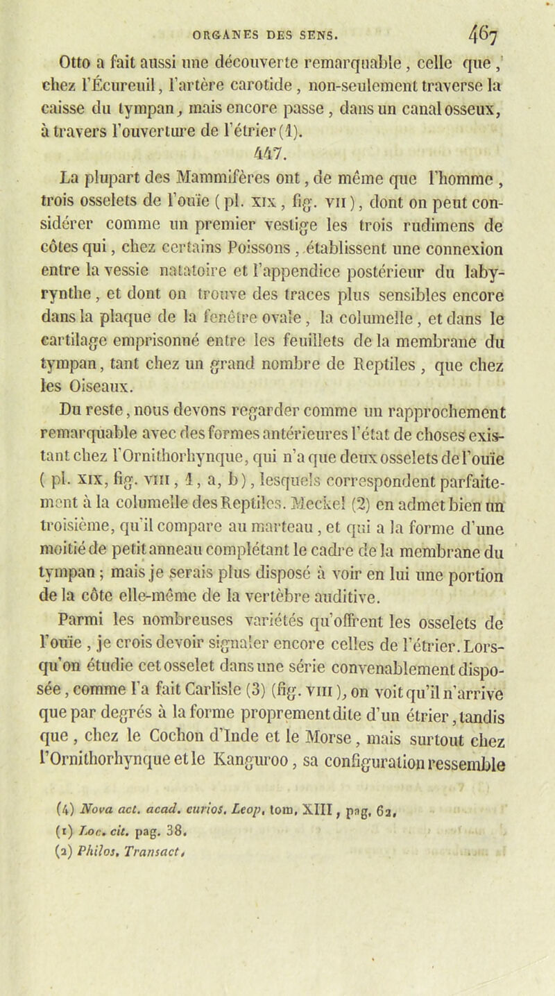 Otto a fait aussi une découverte remarquable , celle que chez rÉcureiiil, l’artère carotide, non-seulement traverse la caisse du tympan^ mais encore passe, dans un canal osseux, à travers l’ouverture de l’étrier (1). 447. La plupart des Mammifères ont, de même que l’homme , trois osselets de l’ouïe ( pl. xix, fig-. vu ), dont on peut con- sidérer comme un premier vestige les trois rudimens de côtes qui, chez certains Poissons, .établissent une connexion entre la vessie natatoire et l’appendice postérieur du laby- rynthe, et dont on trouve des traces plus sensibles encore dans la plaque de la fenêtre ovale, la columelle, et dans le cartilage emprisonné entre les feuillets de la membrane du tympan, tant chez un grand nombre de Reptiles , que chez les Oiseaux. Du reste, nous devons regarder comme un rapprochement remarquable avec des formes antérieures l’état de choses exis- tant chez l’Ornithorhynque, qui n’a que deux osselets de l’ouïe ( pl. XIX, fig. VIII, 1, a, b), lesquels correspondent parfaite- ment à la columelle des Reptiles. Meckel (2) en admet bien un troisième, qu’il compare au marteau, et qui a la forme d’une moitié de petit anneau complétant le cadre de la membrane du tympan ; mais je serais plus disposé à voir en lui une portion de la côte elle-même de la vertèbre auditive. Parmi les nombreuses variétés qu’offrent les osselets de l’ouïe , je crois devoir signaler encore celles de l’étrier. Lors- qu’on étudie cet osselet dans une série convenablement dispo- sée , comme l’a fait Carlisle (3) (fig. viii ), on voit qu’il n’arrive que par degrés à la forme proprement dite d’un étrier, tandis que , chez le Cochon d’Inde et le Morse, mais surtout chez l’Ornithorhynque et le Kanguroo, sa configuration ressemble (4) Nova act. acad. curios, Leop, lom, XIII, pag, 6a, (i) Loc. cil, pag. 38. (a) Philos, Transact,