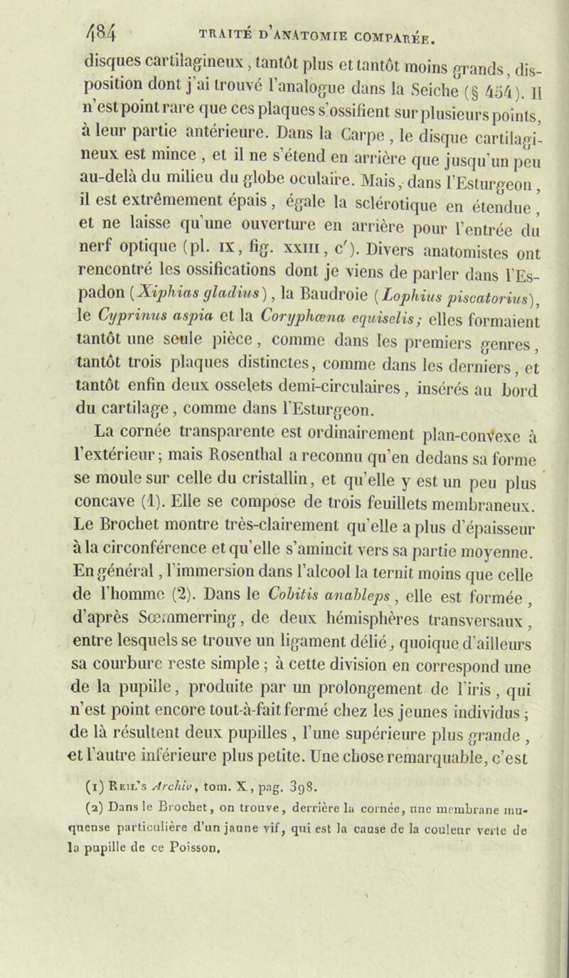 disques cartilagineux, tantôt plus et tantôt moins grands, dis- position dont j’ai trouvé l’analogue dans la Seiche (§ 454). Il Il estpointrai e que ces plaques s ossifient sur plusieurs points, à leur partie antérieure. Dans la Carpe , le disque cartilagi- neux est mince , et il ne s étend en arriéré que jusqu’un peu au-delà du milieu du globe oculai’re. Mais, dans l’Esturgeon, il est extrêmement épais, égale la sclérotique en étendue ’ et ne laisse qu’une ouverture en arrière pour l’entrée du nerf optique (pl. ix, fig. xxiii, c'). Divers anatomistes ont rencontré les ossifications dont Je viens de parler dans l’Es- padon {Xiphias gladius), la Baudroie [Lophius piscatorius), le Cyprinus aspia et la Coryphœna equiselis ; elles formaient tantôt une seule piece, comme dans les premiers genres tantôt trois plaques distinctes, comme dans les derniers, et tantôt enfin deux osselets demi-circulaires, insérés au bord du cartilage, comme dans l’Esturgeon. La cornée transparente est ordinairement plan-con\texe à l’extérieur ; mais Rosenthal a reconnu qu’en dedans sa forme se moule sur celle du cristallin, et quelle y est un peu plus concave (1). Elle se compose de trois feuillets membraneux. Le Brochet montre très-clairement quelle a plus d’épaisseur à la circonférence etqu’elle s’amincit vers sa partie moyenne. En général, l’immersion dans l’alcool la ternit moins que celle de l’homme (2). Dans le Cobitis anahleps, elle est formée , d’après Sœmmerring, de deux hémisphères transversaux, entre lesquels se trouve un ligament délié, quoique d’ailleurs sa courbure reste simple ; à cette division en correspond une de la pupille, produite par un prolongement de l’iris, qui n’est point encore tout-à-fait fermé chez les jeunes individus ; de là résultent deux pupilles , l’une supérieure plus grande , et l’autre inférieure plus petite. Une chose remarquable, c’est (i) Reii.’s Archiv, toni. X, p.ig. 3g8. (a) Dans le Brochet, on trouve, derrière la cornée, nne mrmhrane niu- qnense particulière d’un jaune vif, qui est la cause de la couleur verte de la pupille de ce Poisson.