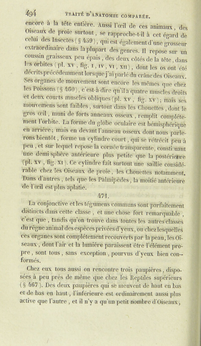encore à la tête entière. Aussi l’œil de ces animaux, des Oiseaux de proie surtout, se rapproche-t-il à cet éeard de celui des Insectes (§4o9), qui est également d’une m-osseur extraordinaire dans la plupart des genres. Il repose sur un coussin graisseux peu épais , des deux cotés de la (ête dans les orbites ( pl. XV , fig. I, IV, vr, xn), dont les os ont été décrits précédemment lorsque j’ai parlé du crâne des Oiseaux Ses organes de mouvement sont encore les mêmes riue chez les Poissons ( § 4G0), c’est-à-dire qu’il a quatre muscles droits -et deux courts muscles obliques (pl. xv , fig. xv ) ; mais ses inoiivcmens sont l’aihles, surtout dans les Chouettes , dont le gros oeil, muni de forts anneaux osseux , remplit complète- ment 1 orbite. La forme du globe oculaire est hémisphérique en arrière; mais en devant l’anneau osseux dont nous parle- rons bientôt, forme un cylindre court, qui se rétrécit peu à peu , et sur lequel repose la cornée transparente, consti iiant une demi sphère antérieure plus petite qne la postérietnre (pl. XV , fig. XI ). Ce cylindre fait surtout une saillie considé- rable chez les Oiseaux de proie, les Chouettes notamment. Dans d’autres , tels que les Palmipèdes, la moitié antérieure de l’œil est plus aplatie. 471. La conjonctive etles tégumens communs sont parfaitement distincts dans cette classe , et une chose fort remarquable , c est que , tandis qu on trouve dans toutes les autres classes du règne animal des espèces privées d’yeux, ou chez lesquelles ces organes sont complètement recouverts par la peau, les Oi- seaux , dont l’air et la lumière paraissent être l’élément pro- pre , sont tous, sans exception , pourvus d’yeux bien con- formés. Chez eux tous aussi on rencontre trois paupières, dispo- sées à peu près de même que chez les Reptiles supérieurs ( § 467 ). Des deux paupières qui se meuvent de liant en bas et de bas en haut, l’inférieure est ordinairement aussi plus active que l’autre , et il n’y a qu’un petit nombre d’Oiseaux,