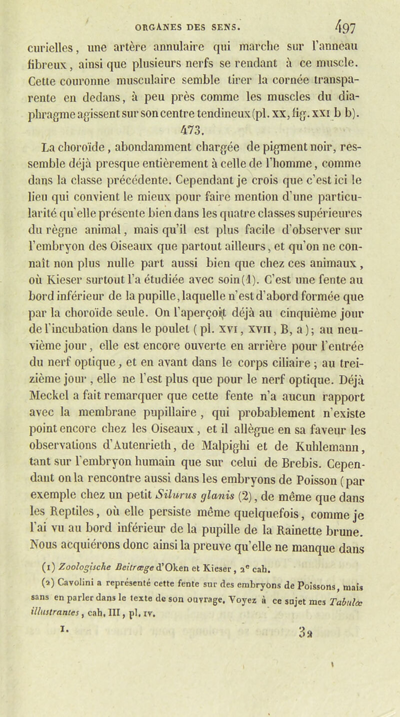 curielles, une artère annulaire qui marche sur l’anneau fibreux, ainsique plusieurs nerfs se rendant à ce muscle. Cette couronne musculaire semble tirer la cornée transpa- rente en dedans, à peu près comme les muscles du dia- phragme agissent sur son centre tendineux(pl. xx, fig. xxi b b). 473. La choroïde, abondamment chargée de pigment noir, res- semble déjà presque entièrement à celle de l’homme, comme dans la classe précédente. Cependant je crois que c’est ici le lieu qui convient le mieux pour faire mention d’une particu- larité quelle présente bien dans les quatre classes supérieures du règne animal, mais qu’il est plus facile d’observer sur l’embryon des Oiseaux que partout ailleurs, et qu’on ne con- naît non plus nulle part aussi bien que chez ces animaux, où Kieser surtout l’a étudiée avec soin(d). C’est une fente au bord inférieur de la pupille, laquelle n’est d’abord formée que par la choroïde seule. On l’aperçoi^t déjà au cinquième jour de l’incul3ation dans le poulet ( pl. xvi, xvii, B, a ) ; au neu- vième jour, elle est encore ouverte en arrière pour l’entrée du nerf optique, et en avant dans le corps ciliaire ; au trei- zième joui*, elle ne l’est plus que pour le nerf optique. Déjà Meckel a fait remarquer que cette fente n’a aucun rapport avec la membrane pupillaire , qui probablement n’existe point encore chez les Oiseaux, et il allègue en sa faveur les observations d’Autenrieth, de Malpiglû et de Kuhlemann, tant sur l’embryon humain que sur celui de Brebis. Cepen- dant onia rencontre aussi dans les embryons de Poisson (par exemple chez un petit Silurus glanis (2), de même que dans les Reptiles, où elle persiste même quelquefois, comme je l’ai vu au bord inférieur de la pupille de la Rainette brune. Nous acquiérons donc ainsi la preuve qu’elle ne manque dans (i) Zoologische Deitrœgeà'Gk&n et Kieser , a® cah. (a) Cavolini a représenté cette fente sur des embryons de Poissons, mais sans en parler dans le texte de son ouvrage. Voyez à ce sujet mes Tabula: illustrantes, cah, III, pl, iv.