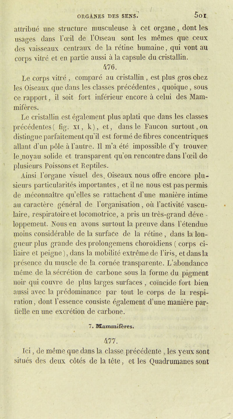 altribué une structure musculeuse à cet organe, dont les usages dans l’œil de l’Oiseau sont les mêmes que ceux des vaisseaux centraux de la rétine humaine, qui vont au corps vitré et en partie aussi à la capsule du cristallin. 476. Le corps vitré , comparé au cristallin, est plus gros chez les Oiseaux que dans les classes précédentes, quoique, sous ce rapport, il soit fort inférieur encore à celui des Mam- mifères. Le cristallin est également plus aplati que dans les classes précédentes ( fig. xi, k), et, dans le Faucon surtout, ou distingue parfaitement qu’il est formé de fibres concentriques allant d’un pôle à l’autre. Il m’a été impossible d’y trouver le,noyau solide et transparent qu’on rencontre dans l’œil de plusieurs Poissons et Reptiles. Ainsi l’organe visuel des. Oiseaux nous offre encore plu- sieurs particularités importantes, et Une nous est pas permis de méconnaître quelles se rattachent d’une manière intime au caractère général de l’organisation, où l’activité vascu- laire, respiratoire et locomotrice, a pris un très-grand déve loppement. Nous en avons surtout la preuve dans l’étendue moins considérable de la surface de la rétine, dans la lon- gueur plus grande des prolongemens choroïdiens ( corps ci- liaire et peigne), dans la mobilité extrême de l’iris, et dans la présence du muscle de la cornée transparente. L’abondance même de la sécrétion de carbone sous la forme du pigment noir qui couvre de plus larges surfaces , coïncide fort bien aussi avec la prédominance par tout le corps de la respi- ration , dont l’essence consiste également d’une manière par- tielle en une excrétion de carbone. 7. Mammifères. 477. Ici, de même que dans la classe précédente , les yeux sont situés des deux côtés de la tête, et les Quadrumanes sont