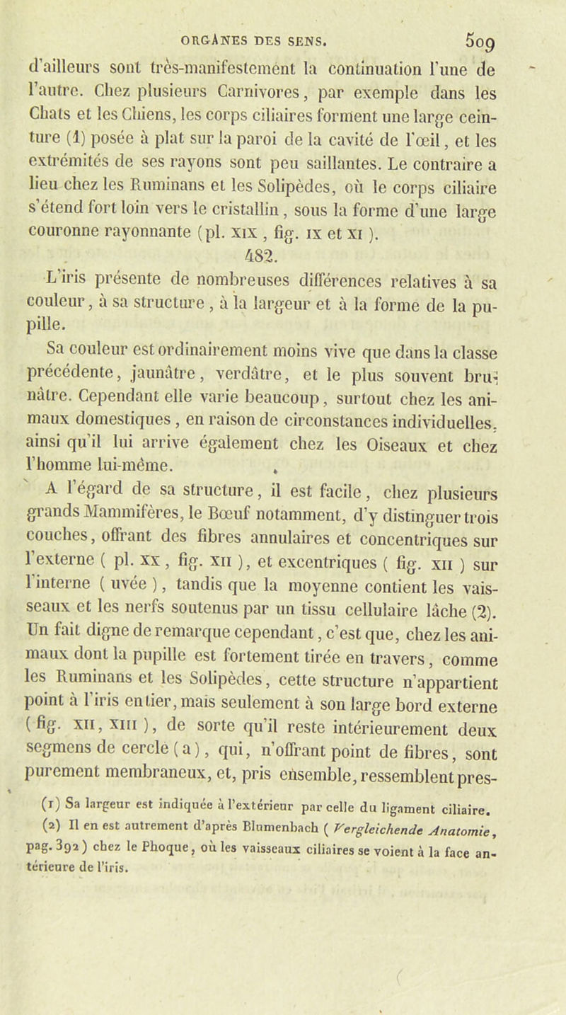 d’ailleurs sont très-manifeslemént la continuation l’iine de l’autre. Chez plusieurs Carnivores, par exemple dans les Chats et les Chiens, les corps ciliaires forment une large cein- ture (1) posée à plat sur la paroi de la cavité de l'œil, et les extrémités de ses rayons sont peu saillantes. Le contraire a lieu chez les Ruminans et les Solipèdes, où le corps ciliaire s’étend fort loin vers le cristallin, sous la forme d’une lar{je couronne rayonnante (pl. xix , fig. ix et xi ). 482. L iris présente de nombreuses différences relatives à sa couleur, à sa structure , à la largeur et à la forme de la pu- pille. Sa couleur est ordinairement moins vive que dans la classe précédente, jaunâtre, verdâtre, et le plus souvent bru^ nâtre. Cependant elle varie beaucoup, surtout chez les ani- maux domestiques, en raison de circonstances individuelles, ainsi qu’il lui arrive également chez les Oiseaux et chez l’homme lui-même. . A l’égard de sa structure, il est facile, chez plusieurs grands Mammifères, le Bœuf notamment, d’y distinguer trois couches, offrant des fibres annulaires et concentriques sur l’externe ( pl, xx, fig. xii ), et excentriques ( fig. xn ) sur 1 interne ( uvée ), tandis que la moyenne contient les vais- seaux et les nerfs soutenus par un tissu cellulaire lâche (2). Un fait digne de remarque cependant, c’est que, chez les ani- maux dont la pupille est fortement tirée en travers, comme les Ruminans et les Solipèdes, cette structure n’appartient point à l’iris entier, mais seulement à son large bord externe (fig. XII, XIII ), de sorte qu’il reste intérieurement deux segmens de cercle ( a ), qui, n offrant point de fibres, sont purement membraneux, et, pris ensemble, ressemblent pres- (1) Sa largeur est indiquée à l’extérieur parcelle du ligament ciliaire. (2) Il en est autrement d’après Blumenbach ( Vergleichende Anatomie, pag. 392 ) chez le Phoque, où les vaisseaux ciliaires se voient .à la face an- térienre de l’iris.