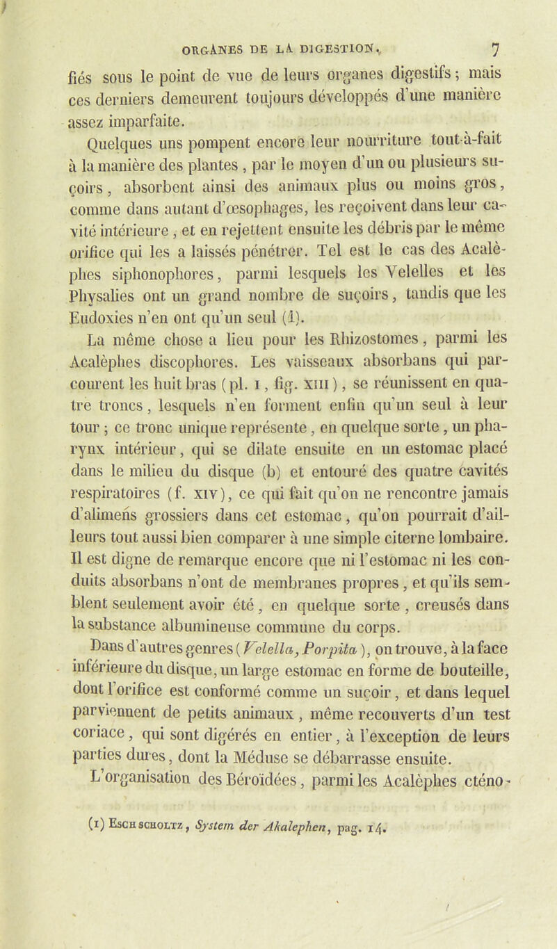 fiés sous le point de vue de leurs organes digestifs ; mais ces derniers demeurent toujours développés d’une manière assez imparfaite. Quelques uns pompent encore leur nourriture tout à-fait à la manière des plantes, par le moyen d’un ou plusieui’s su- çoirs , absorbent ainsi des animaux plus ou moins gros, comme dans autant d’œsophages, les reçoivent dans leur ca- vité intérieure, et eu rejettent ensuite les débris par le meme orifice qui les a laissés pénétrer. Tel est le cas des Acalè- plies siphonophores, parmi lesquels les Velelles et les Physalies ont un grand nombre de suçoirs, tandis que les Eudoxies n’en ont qu’un seul (1). La même chose a lieu pour les Rhizostomes, parmi les Acalèphes discophores. Les vaisseaux absorbans qui par- courent les huit bras ( pl. i, fig. xiii ), se réunissent en qua- tre troncs, lesquels n’en forment enfin qu’un seul à leur tour ; ce tronc unique représente, en quelque sorte, un pha- rynx intérieur, qui se dilate ensuite en un estomac placé dans le milieu du disque (b) et entouré des quatre cavités respiratoires ( f. xiv ), ce qui fait qu’on ne rencontre jamais d’alimens grossiers dans cet estomac, qu’on pourrait d’ail- leurs tout aussi bien comparer à une simple citerne lombaire. Il est digne de remarque encore que ni l’estomac ni les con- duits absorbans n’ont de membranes propres, et qu’ils sem- blent seulement avoir été , en quelque sorte , creusés dans la substance albumineuse commune du corps. Dans d’autres genres ( Felella, Porpita ), pn trouve, à la face inférieure du disque, un large estomac en forme de bouteille, dont l’orifice est conformé comme un suçoir, et dans lequel parviennent de petits animaux, même recouverts d’un test coriace, qui sont digérés en entier, à l’exception de leurs parties dures, dont la Méduse se débarrasse ensuite. L’organisation des Béroïdées, parmi les Acalèphes cténo- (i) Esch SCHOLXZ, Sjstetn der Akalephen, pag. 14.