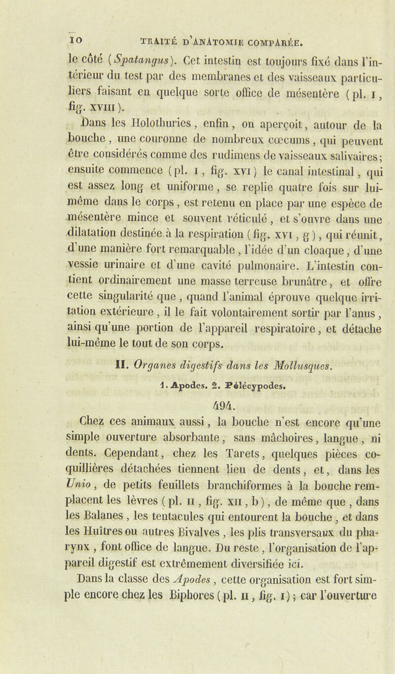 le côté {SpataQigus). Cet intestin est toujours fixé dans l’in- térieur du test par des membranes et des vaisseaux particu- liers faisant en quelque sorte office de mésentère ( pl. i, %. XVIII). Dans les Holothuries, enfin, on aperçoit, autour de la bouche , une couronne de nombreux cæcums, qui peuvent être considérés comme des rudimens de vaisseaux salivaiCes; ensuite commence ( pl. i, fig-. xvi ) le canal intestinal, qui est assez long et uniforme, se replie quatre fois sur lui- même dans le corps, est retenu en place par une espèce de mésentère mince et souvent réticulé, et s’ouvre dans une dilatation destinée à la respiration ( fig. xvi, g ), qui réunit, d une manière fort remarquable , l’idée d’un cloaque, d’une vessie urinaire et d’une cavité pulmonaire. L’intestin con- tient ordinairement une masse terreuse brunâtre, et ofl’re cette singularité que , quand l’animal éprouve quelque irri- tation extérieure, il le fait volontairement sortir par l’anus, ainsi qu’une portion de l’appareil respiratoire, et détache lui-même le tout de son corps. II. Organes digestifs dans les Mollusques, d. Apodes. 2. Pélécypodes. 494. Chez ces animaux aussi, la bouche n’est encore qu’une simple ouverture absorbante, sans mâchoires, langue , ni dents. Cependant, chez les Tarets, quelques pièces co- quillières détachées tiennent lieu de dents, et, dans les Vnio, de petits feuillets branchiformes à la bouche rem- placent les lèvres ( pl. ii, fig. xii, b ), de même que , dans les Balanes , les tentacules qui entourent la bouche , et dans les Huîtres ou autres Bivalves , les plis transversaux du pha- rynx , font office de langue. Du reste, l’organisation de l’ap- pareil digestif est extrêmement diversifiée ici. Dans la classe des Apodes, cette organisation est fort sim- ple encore chez les Biphores ( pl. ii, lig. i ) ; car l’ouverture