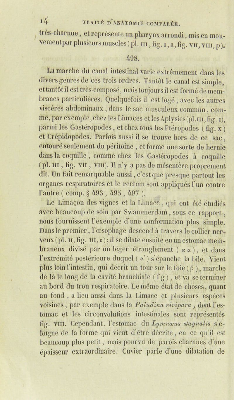 très-charnue, et représente un pharynx arrondi, mis en moii- vementpar plusieurs muscles ( pl. iii, Aq-. i , a, fig. vu, viii, p ). 498, La marche du canal intestinal varie extrêmement dans les divers genres de ces trois ordres. Tantôt le canal est simple, et tantôt il est très-composé, mais toujours il est formé de mem- branes particulières. Quelquefois il est logé, avec les autres viscères abdominaux, dans le sac musculeux commun, com- me, par exemple, chez les Limaces etlesAplysies(pl.iii,fig. i), parmi les Gastéropodes, et chez tous les Ptéropodes ( fîg. x ) et Crépidopodes. Parfois aussi il se trouve hors de ce sac, entouré seulement du péritoine , et forme une sorte de hernie dans la coquille , comme chez les Gastéropodes à coquille (pl. III, fig. VII, VIII). Il n’y a pas de mésentère proprement dit. Un fait remarquable aussi, c’est que presque partout les organes respiratoires et le rectum sont appliqués l’un contre l’autre ( comp. § 493,495,497 ). Le Limaçon des vignes et la Limace, qui ont été étudiés avec beaucoup de soin par Swammerdam, sous ce rapport, nous fournissent l’exemple d’une conformation plus simple. Dans le premier, l’œsophage descend à travers le collier ner- veux (pl. Il, fîg. III, £ ) ; il se dilate ensuite en un estomac mem- braneux divisé par un léger étranglement ( « « ), et dans l’extrémité postérieure duquel ( a') s’épanche la bile. Vient plus loin l’intestin, qui décrit un tour sur le foie ( p ), marche de là le long de la cavité branchiale ( f g ), et va se terminer au bord du trou respiratoire. Le même état de choses, quant au fond , a lieu aussi dans la Limace et plusieurs espèces voisines, par exemple dans la Paludma vivipara, dont l’es- tomac et les circonvolutions intestinales sont représentés fig. VIII. Cependant, l’estomac du Lymnœus siagnalis s’é- loigne de la forme qui vient d’être décrite, en ce qu'il est beaucoup plus petit, mais pourvu de parois cliarnues d’une épaisseur extraordinaire. Cuvier parle d’une dilatation de