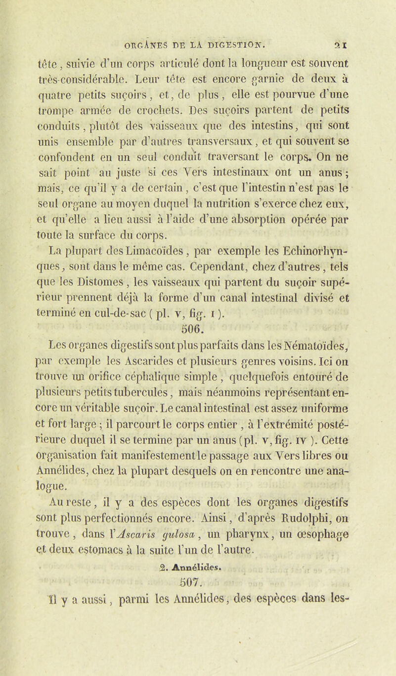 tête, suivie d’un corps articulé dont la longueur est souvent très-considérable. Leur tête est encore garnie de deux à quatre petits suçoirs, et, de plus, elle est pourvue d’une trompe armée de crochets. Des suçoirs partent de petits conduits, plutôt des vaisseaux que des intestins, qui sont unis ensemble par d’autres transversaux, et qui souvent se confondent en un seul conduit traversant le corps. On ne sait point au juste si ces Vers intestinaux ont un anus; mais, ce qu’il y a de certain, c’est que l’intestin n’est pas le seul organe au moyen duquel la nutrition s’exerce chez eux, et qu’elle a lieu aussi à l’aide d’une absorption opérée par toute la surface du corps. La plupart des Liinacoïdes, par exemple les Echinorhyn- ques, sont dans le même cas. Cependant, chez d’autres, tels que les Distomes, les vaisseaux qui partent du suçoir supé- rieur prennent déjà la forme d’un canal intestinal divisé et terminé en cul-de-sac ( pl. v, fig. i ). 606. Les organes digestifs sont plus parfaits dans les Nématoïdes, par exemple les Ascarides et plusieurs genres voisins. Ici on trouve mi orifice céphalique simple , quelquefois entouré de plusieurs petits tubercules, mais néanmoins représentant en- core un véritable suçoir. Le canal intestinal est assez uniforme et fort large ; il parcourt le corps entier , à l’extrémité posté- rieure duquel il se termine par un anus (pl. v, fig. iv ). Cette organisation fait manifestement le passage aux Vers libres ou Annélides, chez la plupart desquels on en rencontre une ana- logue. Au reste, il y a des espèces dont les organes digestifs sont plus perfectionnés encore. Ainsi, d’après Rudolphi, on trouve , dans XAscaris gulosa, un pharynx, un œsophage et deux estomacs à la suite l’un de l’autre. 2. Annélides. 607. Il y a aussi, parmi les Annélides, des espèces dans les-