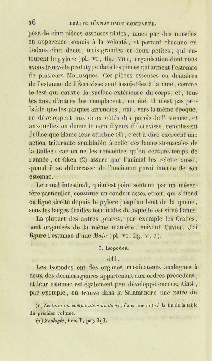 pose de cinq pièces osseuses plates, mues par des muscles en apparence soumis à la volonté, et portant chacune en dedans cinq dents, trois grandes et deux petites, qui en- tourent le pylore ( pl. vi, fig. vu ), organisation dont nous avons trouvé le prototype dans les pièces qui arment l’estomac de plusieurs Mollusques. Ces pièces osseuses ou dentaires de l’estomac de l’Écrevisse sont assujetties à la mue , comme le test qui couvre la surface extérieure du corps, et, tous les ans, d’autres les remplacent, en été. Il n’est pas pro- bable que les plaques arrondies , qui, vers la même époque, se développent aux deux côtés des parois de l’estomac, et auxquelles on donne le nom d’yeux d’Écrevisse, remplissent l’office que Home leur attrffiue (1), c’est-à-dire exercent une action triturante semblable à celle des lames stomacales de la Bullée ; car on ne les rencontre qu’en certains temps de l’année , et Oken (2) assure que l’animal les rejette aussi, quand il se débarrasse de l’ancienne paroi interne de son estomac. Le canal intestinal, qui n’est point soutenu par un mésen- tère particulier, constitue un conduit assez étroit, qui s’étend en ligne droite depuis le pylore jusqu’au bout de la queue,, sous les larges écailles terminales de laquelle est situé l’anus. La plupart des autres genres, par exemple les Crabes, sont organisés de la même manière, suivant Cuvier. J’ai figuré l’estomac d’une Maja (pl. vi, fig. v, c). 3. Isopodes. 511. Les Isopodes ont dés organes masticateurs analogues à ceux des derniers genres appartenant aux ordres précédons, et leur estomac est également peu développé encore. Ainsi, par exemple, on trouve dans la Salamandre une paire de (l) Lectures on comparative anatomy; clans une note à la fia de la table du premier volnme. (a) Zoologie, tom. I, pag, 3g3.