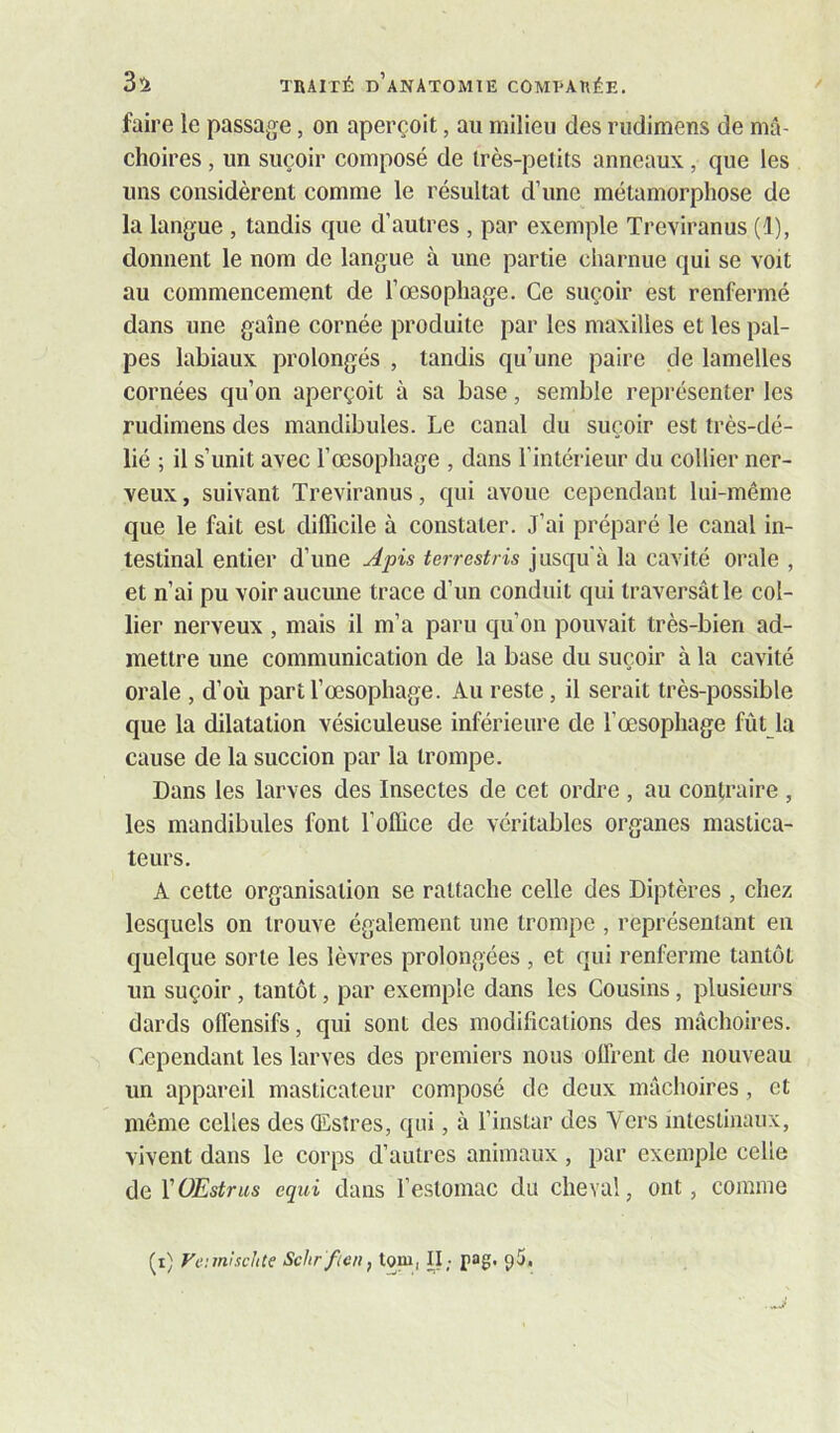 faire le passage, on aperçoit, au milieu des rudimens de mâ- choires , un suçoir composé de très-petits anneaux, que les uns considèrent comme le résultat d’une métamorphose de la langue , tandis que d’autres , par exemple Treviranus (1), donnent le nom de langue à une partie charnue qui se voit au commencement de l’œsophage. Ce suçoir est renfermé dans une gaine cornée produite par les maxilles et les pal- pes labiaux prolongés , tandis qu’une paire de lamelles cornées qu’on aperçoit à sa base, semble représenter les rudimens des mandibules. Le canal du suçoir est très-dé- lié ; il s’unit avec l’œsophage , dans l’intérieur du collier ner- veux, suivant Treviranus, qui avoue cependant lui-même que le fait est difficile à constater. J’ai préparé le canal in- testinal entier d’une Apis terrestris jusqu'à la cavité orale , et n’ai pu voir aucune trace d’un conduit qui traversât le col- lier nerveux , mais il m’a paru qu’on pouvait très-bien ad- mettre une communication de la base du suçoir à la cavité orale , d’où part l’œsophage. Au reste, il serait très-possible que la dilatation vésiculeuse inférieure de l’œsophage fût la cause de la succion par la trompe. Dans les larves des Insectes de cet ordre , au contraire , les mandibules font l’office de véritables organes mastica- teurs. A cette organisation se rattache celle des Diptères , chez lesquels on trouve également une trompe , représentant en quelque sorte les lèvres prolongées , et qui renferme tantôt un suçoir, tantôt, par exemple dans les Cousins, plusieurs dards offensifs, qui sont des modifications des mâchoires. Cependant les larves des premiers nous offrent de nouveau un appareil masticateur composé de deux mâchoires , et même celles des (Esîres, qui, à l’instar des Vers intestinaux, vivent dans le corps d’autres animaux , par exemple celle àeVOEstrus equi dans l’estomac du cheval, ont, comme