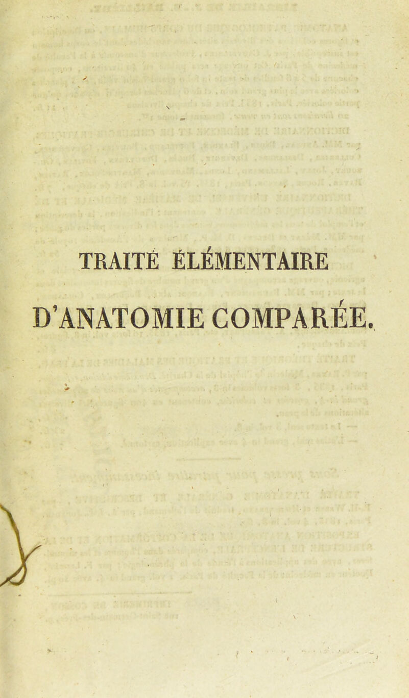 TRAITÉ ÉLÉMENTAIRE D’ANATOMIE COMPARÉE.