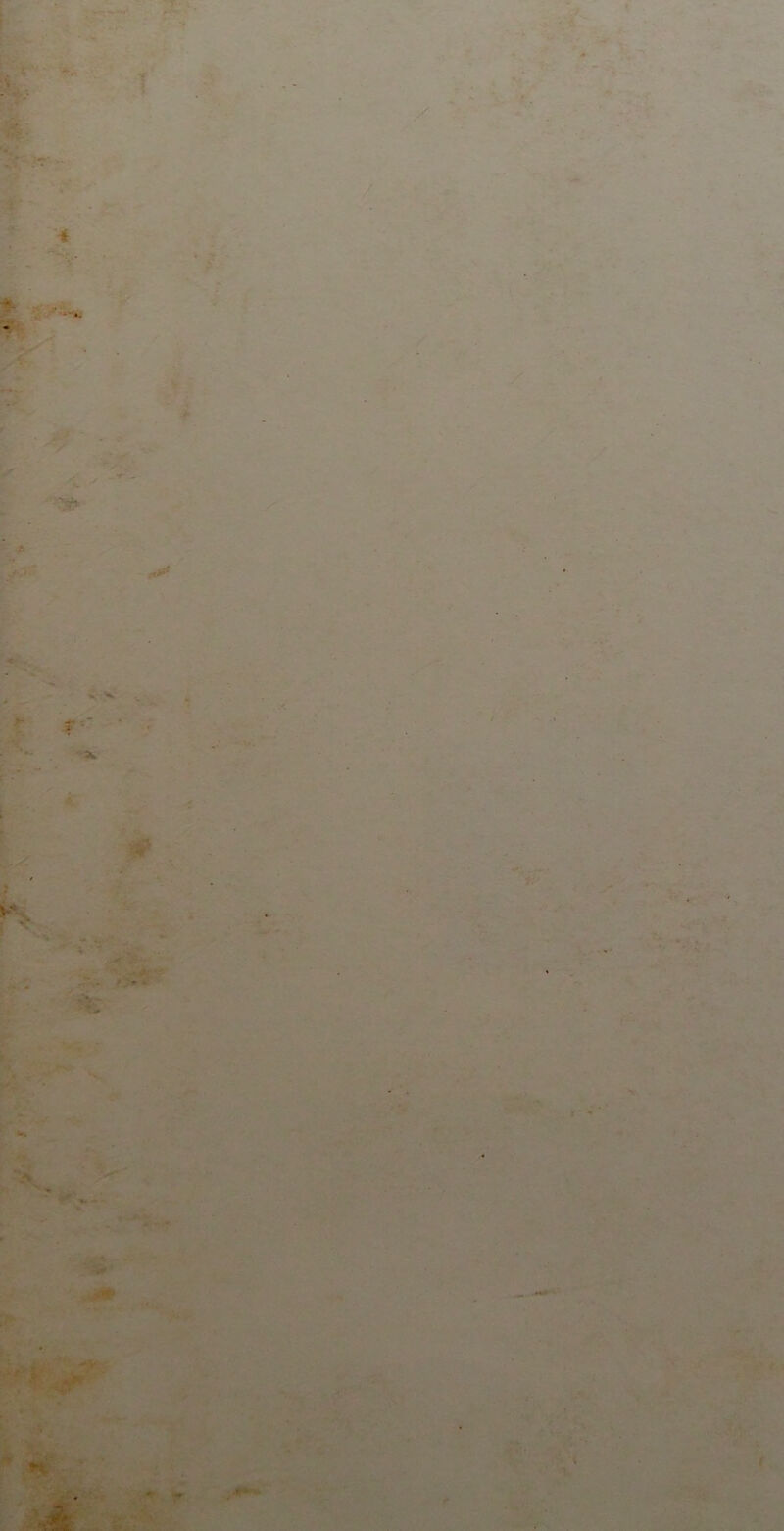 ■ . * •• ' ■ - - -