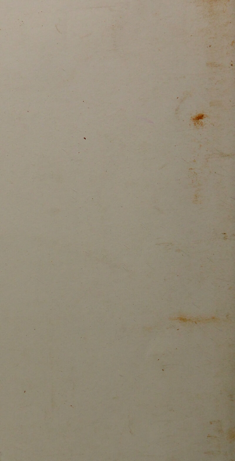 i . X -f' .J ^ ' ■ .■* .*4 '' -M 'Vi ^ ■ ■- / > 7’^ 4