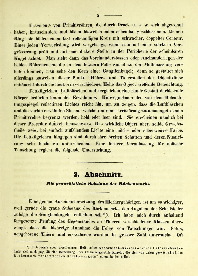 Fragmente von Primitivröhren, die durch Druck u. s. w. sich abgetrennt haben, kräuseln sich, und bilden bisweilen einen scheinbar geschlossenen, kleinen Ring; sie bilden einen fast vollständigen Kreis mit schwacher, doppelter Contour. Einer jeden Verwechslung wird vorgebeugt, wenn man mit einer stärkern Ver- grösserung prüft und auf eine dickere Stelle in der Peripherie der scheinbaren Kugel achtet. Man sieht dann das Voreinanderstossen oder Aneinanderlegen der beiden Röhrenenden, die in dem letztem Falle zumal zu der Mutlimassung ver- leiten können, man sehe den Kern einer Ganglienkugel; denn so gestaltet sich allerdings zuweilen dieser Punkt. Höher- und Tieferstellen der Objectivlinse enttäuscht durch die hierbei in verschiedener Höhe das Object treffende Releuchtung. Fettkügelchen, Luftbläschen und dergleichen eine runde Gestalt darbietende Körper bedürfen kaum der Erwähnung. Hinwegnehmen des von dem Releuch- tungsspiegel reflectirten Lichtes reicht hin, um zu zeigen, dass die Luftbläschen und die vorhin erwähnten Stellen, welche von einer kreisförmig zusammengetretenen Primitivröhre begrenzt werden, hohl oder leer sind. Sie erscheinen nämlich bei dieser Procedur dunkel, blauschwarz. Das wirkliche Object aber, solide Gewebs- tlieile, zeigt bei einfach auffallendem Lichte eine milch- oder silberweisse Farbe. Die Fettkügelchen hingegen sind durch ihre breiten Schatten und deren Nüanci- rung sehr leicht zu unterscheiden. Eine fernere Veranlassung für optische Täuschung ergiebt die folgende Untersuchung. 2. Abschnitt. JDie grauröthliche Substanz des Mückenmarks. Eine genaue Auseinandersetzung des Hierhergehörigen ist um so wichtiger, weil gerade die graue Substanz des Rückenmarks den Angaben der Schrifsteller zufolge die Ganglienkugeln enthalten soll*). Ich habe mich durch anhaltend fortgesetzte Prüfling des Gegenstandes an Thieren verschiedener Klassen über- zeugt, dass die bisherige Annahme die Folge von Täuschungen war. Fötus, neugeborene Thiere und erwachsene wurden in grosser Zahl untersucht. Oft *) tn Gltjge’s eben erschienenem Heft seiner Anatomisch-mikroskopichen Untersuchungen findet sich noch pag. 36 eine Bemerkung über zusammengesetzte Kugeln, die sich von „den gewöhnlich im Rückenmark vorkommenden Ganglienkugeln“ unterscheiden sollen.