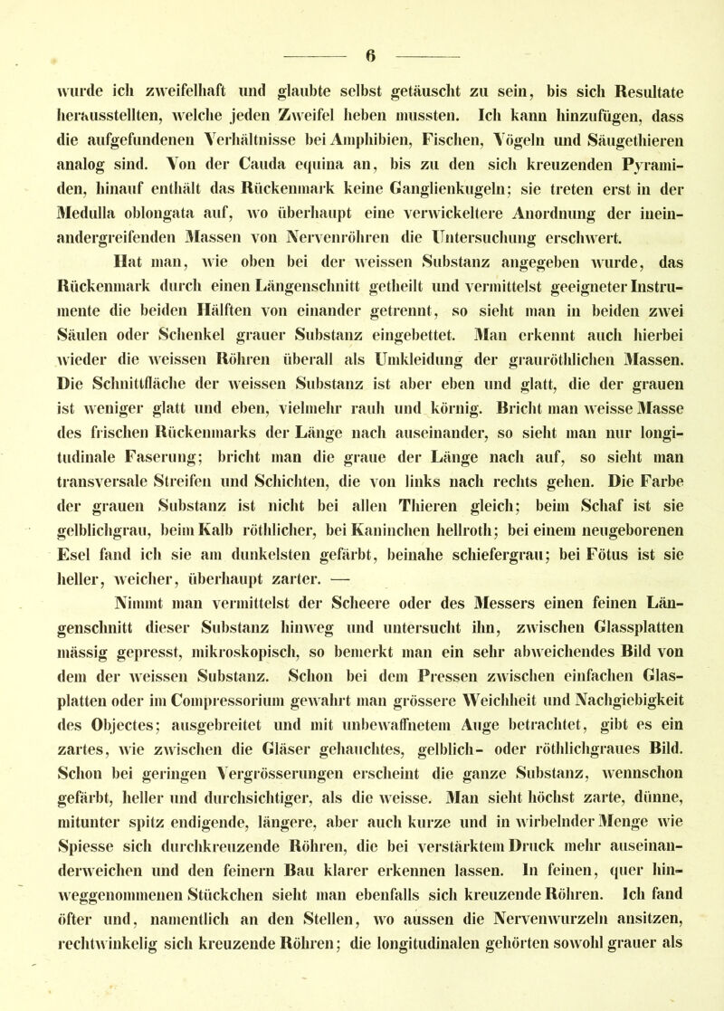 wurde ich zweifelhaft und glaubte selbst getäuscht zu sein, bis sich Resultate herausstellten, welche jeden Zweifel heben mussten. Ich kann hinzufügen, dass die aufgefundenen Verhältnisse bei Amphibien, Fischen, Vögeln und Säugethieren analog sind. Von der Cauda equina an, bis zu den sich kreuzenden Pyrami- den, hinauf enthält das Rückenmark keine Ganglienkugeln; sie treten erst in der Medulla oblongata auf, wo überhaupt eine verwickeltere Anordnung der inein- andergreifenden Massen von Nervenröhren die Untersuchung erschwert. Hat man, Avie oben bei der Aveissen Substanz angegeben Avurde, das Rückenmark durch einen Längenschnitt getheilt und vermittelst geeigneter Instru- mente die beiden Hälften von einander getrennt, so sieht man in beiden ZAvei Säulen oder Schenkel grauer Substanz eingebettet. Man erkennt auch hierbei Avieder die Aveissen Röhren überall als Umkleidung der graurötldichen Massen. Die Schnittfläche der Aveissen Substanz ist aber eben und glatt, die der grauen ist aa eiliger glatt und eben, vielmehr rauh und körnig. Bricht man A\eisse Masse des frischen Rückenmarks der Länge nach auseinander, so sieht man nur longi- tudinale Faserung; bricht man die graue der Länge nach auf, so sieht man transversale Streifen und Schichten, die von links nach rechts gehen. Die Farbe der grauen Substanz ist nicht bei allen Thieren gleich; beim Schaf ist sie gelblichgrau, beim Kalb röthlicher, bei Kaninchen hellroth; bei einem neugeborenen Esel fand ich sie am dunkelsten gefärbt, beinahe schiefergrau; bei Fötus ist sie heller, Aveicher, überhaupt zarter. — Nimmt man vermittelst der Scheere oder des Messers einen feinen Län- genschnitt dieser Substanz liinAveg und untersucht ihn, zAvischen Glassplatten mässig gepresst, mikroskopisch, so bemerkt man ein sehr abAveichendes Bild von dem der Aveissen Substanz. Schon bei dem Pressen ZAvischen einfachen Glas- platten oder im Compressorium gewahrt man grössere Weichheit und Nachgiebigkeit des Objectes; ausgebreitet und mit unbeAvaffnetein Auge betrachtet, gibt es ein zartes, Avie ZAvischen die Gläser gehauchtes, gelblich- oder röthlichgraues Bild. Schon bei geringen Vergrösserungen erscheint die ganze Substanz, Avennschon gefärbt, heller und durchsichtiger, als die Aveisse. Man sieht höchst zarte, dünne, mitunter spitz endigende, längere, aber auch kurze und in Avirbelnder Menge wie Spiesse sich durchkreuzende Röhren, die bei verstärktem Druck mehr auseinan- derweichen und den feinem Bau klarer erkennen lassen. In feinen, quer hin- Aveggenommenen Stückchen sieht man ebenfalls sich kreuzende Röhren. Ich fand öfter und, namentlich an den Stellen, avo aussen die Nervemvurzeln ansitzen, rechtAAinkelig sich kreuzende Röhren; die longitudinalen gehörten soAVohl grauer als