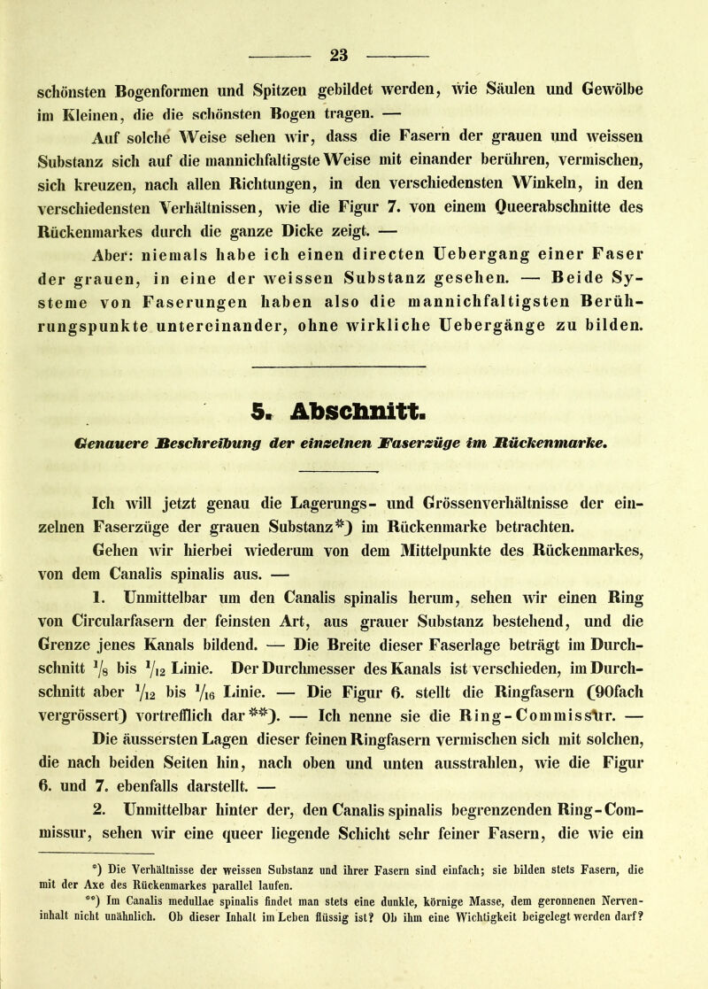 schönsten Bogenformen und Spitzen gebildet werden, wie Säulen und Gewölbe im Kleinen, die die schönsten Bogen tragen. — Auf solche Weise sehen wir, dass die Fasern der grauen und weissen Substanz sich auf die mannichfaltigste Weise mit einander berühren, vermischen, sich kreuzen, nach allen Richtungen, in den verschiedensten Winkeln, in den verschiedensten Verhältnissen, wie die Figur 7. von einem Queerabschnitte des Rückenmarkes durch die ganze Dicke zeigt. — Aber: niemals habe ich einen directen Uebergang einer Faser der grauen, in eine der weissen Substanz gesehen. — Beide Sy- steme von Faserungen haben also die mannichfaltigsten Berüh- rungspunkte untereinander, ohne wirkliche Uebergänge zu bilden. 5. Abschnitt. Genauere Beschreibung der einseinen JFaserzüge im Bückenmarke. Ich will jetzt genau die Lagerungs- und Grössenverhältnisse der ein- zelnen Faserzüge der grauen Substanz im Rückenmarke betrachten. Gehen wir hierbei wiederum von dem Mittelpunkte des Rückenmarkes, von dem Canalis spinalis aus. — 1. Unmittelbar um den Canalis spinalis herum, sehen wir einen Ring von Circularfasern der feinsten Art, aus grauer Substanz bestehend, und die Grenze jenes Kanals bildend. — Die Breite dieser Faserlage beträgt im Durch- schnitt J/8 bis 1/i2 Linie. Der Durchmesser des Kanals ist verschieden, im Durch- schnitt aber Yi2 bis yi6 Linie. — Die Figur 6. stellt die Ringfasern (90fach vergrössert) vortrefflich dar — Ich nenne sie die Ring-Com missirr. — Die äussersten Lagen dieser feinen Ringfasern vermischen sich mit solchen, die nach beiden Seiten hin, nach oben und unten ausstrahlen, wie die Figur 6. und 7. ebenfalls darstellt. — 2. Unmittelbar hinter der, den Canalis spinalis begrenzenden Ring-Com- missur, sehen wir eine queer liegende Schicht sehr feiner Fasern, die wie ein *) Die Verhältnisse der weissen Substanz und ihrer Fasern sind einfach; sie bilden stets Fasern, die mit der Axe des Rückenmarkes parallel laufen. **) Im Canalis medullae spinalis findet man stets eine dunkle, körnige Masse, dem geronnenen Nerven- inhalt nicht unähnlich. Ob dieser Inhalt im Leben flüssig ist? Ob ihm eine Wichtigkeit beigelegt werden darf?