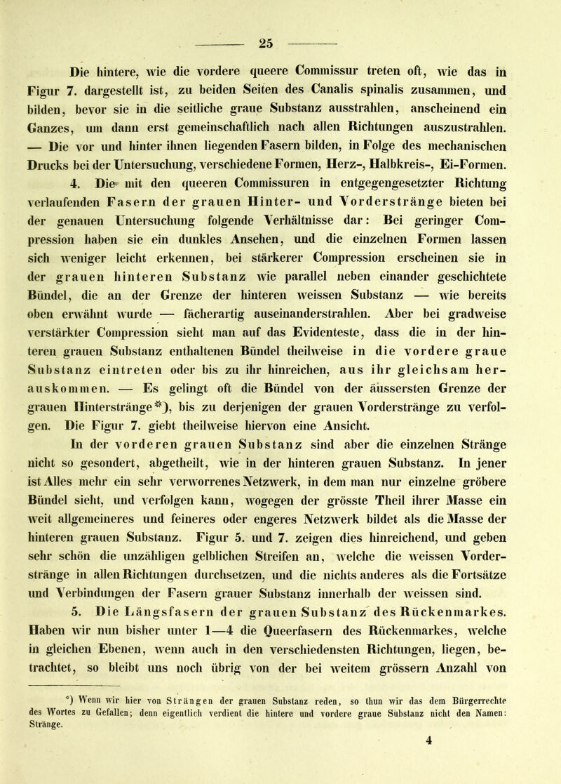 Die hintere, wie die vordere queere Commissur treten oft, wie das in Figur 7. dargestellt ist, zu beiden Seiten des Canalis spinalis zusammen, und bilden, bevor sie in die seitliche graue Substanz ausstrahlen, anscheinend ein Ganzes, um dann erst gemeinschaftlich nach allen Richtungen auszustrahlen. — Die vor und hinter ihnen liegenden Fasern bilden, in Folge des mechanischen Drucks bei der Untersuchung, verschiedene Formen, Herz-, Halbkreis-, Ei-Formen. 4. Die mit den queeren Commissuren in entgegengesetzter Richtung verlaufenden Fasern der grauen Hinter- und Vorderstränge bieten bei der genauen Untersuchung folgende Verhältnisse dar: Rei geringer Com- pression haben sie ein dunkles Ansehen, und die einzelnen Formen lassen sich weniger leicht erkennen, bei stärkerer Compression erscheinen sie in der grauen hinteren Substanz wie parallel neben einander geschichtete Ründel, die an der Grenze der hinteren weissen Substanz — wie bereits oben erwähnt wurde — fächerartig auseinanderstrahlen. Aber bei gradweise verstärkter Compression sieht man auf das Evidenteste, dass die in der hin- teren grauen Substanz enthaltenen Ründel theilweise in die vordere graue Substanz eintreten oder bis zu ihr hinreichen, aus ihr gleichsam her- auskommen. — Es gelingt oft die Ründel von der äussersten Grenze der grauen Hinterstränge*), bis zu derjenigen der grauen Vorderstränge zu verfol- gen. Die Figur 7. giebt theilweise hiervon eine Ansicht. In der vorderen grauen Substanz sind aber die einzelnen Stränge nicht so gesondert, abgetheilt, wie in der hinteren grauen Substanz. In jener ist Alles mehr ein sehr verworrenes Netzwerk, in dem man nur einzelne gröbere Bündel sieht, und verfolgen kann, wogegen der grösste Tlieil ihrer Masse ein weit allgemeineres und feineres oder engeres Netzwerk bildet als die Masse der hinteren grauen Substanz. Figur 5. und 7. zeigen dies hinreichend, und geben sehr schön die unzähligen gelblichen Streifen an, welche die weissen Vorder- stränge in allen Richtungen durchsetzen, und die nichts anderes als die Fortsätze und Verbindungen der Fasern grauer Substanz innerhalb der weissen sind. 5. Die Längsfasern der grauen Substanz des Rückenmarkes. Haben wir nun bisher unter 1—4 die Queerfasern des Rückenmarkes, welche in gleichen Ebenen, wenn auch in den verschiedensten Richtungen, liegen, be- trachtet, so bleibt uns noch übrig von der bei weitem grossem Anzahl von *) Wenn wir hier von Strängen der grauen Substanz reden, so thun wir das dem Bürgerrechte des Wortes zu Gefallen; denn eigentlich verdient die hintere und vordere graue Substanz nicht den Namen: Stränge. 4