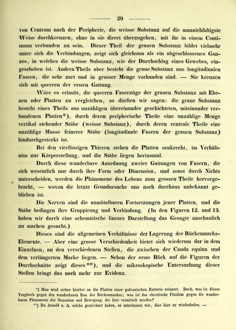 von Centrum nach der Peripherie, die weisse Substanz auf die mannichfaltigste Weise durchkreuzen, ohne in sie direct überzugehen, mit ihr in einem Conti- nuum verbunden zu sein. Dieser Tlieil der grauen Substanz bildet vielmehr unter sich die Verbindungen, zeigt sich gleichsam als ein abgeschlossenes Gan- zes, in welches die weisse Substanz, wie der Durchschlag eines Gewebes, ein- geschoben ist. Andern Theils aber besteht die graue Substanz aus longitudinalen Fasern, die sehr zart und in grosser Menge vorhanden sind. — Sie kreuzen sich mit queeren der ersten Gattung. Wäre es erlaubt, die queeren Faserzüge der grauen Substanz mit Ebe- nen oder Platten zu vergleichen, so dürften wir sagen: die graue Substanz besteht eines Theils aus unzähligen übereinander geschichteten, miteinander ver- bundenen Platten1”4), durch deren peripherische Theile eine unzählige Menge vertikal stehender Stäbe (Aveisse Substanz), durch deren centrale Theile eine unzählige Masse feinerer Stäbe (longitudinale Fasern der grauen Substanz) hindurchgesteckt ist. Bei den vierfiissigen Thieren stehen die Platten senkrecht, im Yerhält- niss zur Körperstellung, und die Stäbe liegen horizontal. Durch diese wunderbare Anordnung zweier Gattungen von Fasern, die sich wesentlich nur durch ihre Form oder Dimension, und sonst durch Nichts unterscheiden, werden die Phänomene des Lebens zum grossen Theile hervorge- bracht, — wovon die letzte Grundursache uns noch durchaus unbekannt ge- blieben ist. Die Nerven sind die unmittelbaren Fortsetzungen jener Platten, und die Stäbe bedingen ihre Gruppirung und Verbindung. (In den Figuren 12. und 13. haben wir durch eine schematische lineare Darstellung das Gesagte anschaulich zu machen gesucht.) Dieses sind die allgemeinen Verhältnisse der Lagerung der Rückenmarks- Elemente. — Aber eine grosse Verschiedenheit bietet sich wiederum dar in dem Einzelnen, an den verschiedenen Stellen, die zwischen der Cauda equina und dem verlängerten Marke liegen. — Schon der erste Blick auf die Figuren der Durchschnitte zeigt dieses* **)0*), und die mikroskopische Untersuchung dieser Stellen bringt das noch mehr zur Evidenz. *) Man wird sicher hierbei an die Platten einer galvanischen Batterie erinnert. Doch, was ist dieser Vergleich gegen den wunderbaren Bau des Rückenmarkes; was ist das electrische Fluidum gegen die wunder- baren Phänomene der Sensation und Bewegung, die hier vermittelt werden? **) Da Arnold u. A. solche gezeichnet haben, so unterlassen wir, dies hier zu wiederholen. —