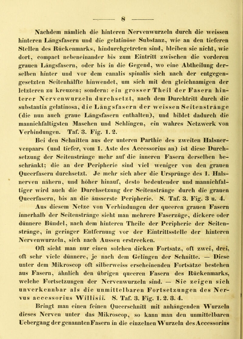 Nachdem nämlich die hinteren Nerven wurzeln durch die weissen hinteren Längsfasern und die gelatinöse Substanz, wie an den tieferen Stellen des Rückenmarks, hindurchgetreten sind, bleiben sie nicht, wie dort, compact nebeneinander bis zum Eintritt zwischen die vorderen grauen Längsfasern, oder bis in die Gegend, wo eine Abtheilung der- selben hinter und vor dem canalis spinalis sich nach der entgegen- gesetzten Seitenhälfte hinwendet, um sich mit den gleichnamigen der letzteren zu kreuzen; sondern: ein grosser Theil der Fasern hin- terer Nervenwurzeln durchsetzt, nach dem Durchtritt durch die substantia gelatinosa, die Längsfasern der weissen Seitenstränge Cdie nun auch graue Längsfasern enthalten), und bildet dadurch die mannichfaltigsten Maschen und Schlingen, ein wahres Netzwerk von Verbindungen. Taf. 3. Fig. 1. 2. Bei den Schnitten aus der unteren Parthie des zweiten Halsner- venpaars (und tiefer, vom 1. Aste des Accessorius an) ist diese Durch- setzung der Seitenstränge mehr auf die inneren Fasern derselben be- schränkt; die an der Peripherie sind viel weniger von den grauen Queerfasern durchsetzt. Je mehr sich aber die Ursprünge des 1. Hals- nerven nähern, und höher hinauf, desto bedeutender und mannichfal- tiger wird auch die Durchsetzung der Seitenstränge durch die grauen Queerfasern, bis an die äusserste Peripherie. S. Taf. 3. Fig. 3 u. 4. Aus diesem Netze von Verbindungen der queeren grauen Fasern innerhalb der Seitenstränge sieht man mehrere Faserzüge, dickere oder dünnere Bündel, nach dem hinteren Theile der Peripherie der Seiten- stränge, in geringer Entfernung vor der Eintrittsstelle der hinteren Nerven wurzeln, sich nach Aussen erstrecken. Oft sieht man nur einen solchen dicken Fortsatz, oft zwei, drei, oft sehr viele dünnere, je nach dem Gelingen der Schnitte. — Diese unter dem Mikroscop oft silberweiss erscheinenden Fortsätze bestehen aus Fasern, ähnlich den übrigen queeren Fasern des Rückenmarks, welche Fortsetzungen der Nervenwurzeln sind. — Sie zeigen sich unverkennbar als die unmittelbaren Fortsetzungen des Ner- vus accessorius Willisii. S. Taf. 3. Fig. 1. 2. 3. 4. Bringt man einen feinen Queerschnitt mit anhängenden Wurzeln dieses Nerven unter das Mikroscop, so kann man den unmittelbaren UebergangdergenanntenFasern in die einzelnen Wurzeln des Accessorius