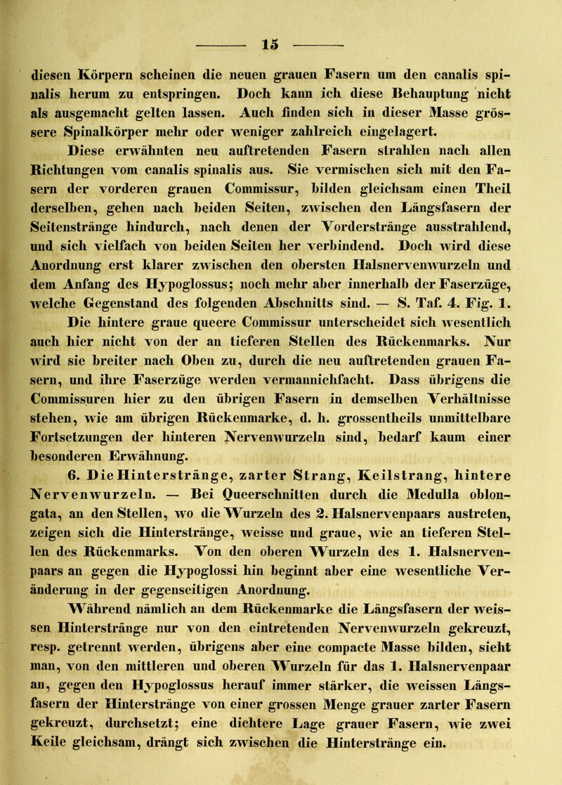 diesen Körpern scheinen die neuen grauen Fasern um den canalis spi- nalis herum zu entspringen. Doch kann ich diese Behauptung nicht als ausgemacht gelten lassen. Auch finden sich in dieser Masse grös- sere Spinalkörper mehr oder weniger zahlreich eingelagert. Diese erwähnten neu auftretenden Fasern strahlen nach allen Richtungen vom canalis spinalis aus. Sie vermischen sich mit den Fa- sern der vorderen grauen Commissur, bilden gleichsam einen Tlieil derselben, gehen nach beiden Seiten, zwischen den Längsfasern der Seitenstränge hindurch, nach denen der Vorderstränge ausstrahlend, und sich vielfach von beiden Seiten her verbindend. Doch wird diese Anordnung erst klarer zwischen den obersten Halsnerven wurzeln und dem Anfang des Hypoglossus; noch mehr aber innerhalb der Faserzüge, welche Gegenstand des folgenden Abschnitts sind. — S. Taf. 4. Fig. 1. Die hintere graue queere Commissur unterscheidet sich wesentlich auch hier nicht von der an tieferen Stellen des Rückenmarks. Nur wird sie breiter nach Oben zu, durch die neu auftretenden grauen Fa- sern, und ihre Faserzüge werden vermannichfacht. Dass übrigens die Commissuren hier zu den übrigen Fasern in demselben Verhältnisse stehen, wie am übrigen Rückenmarke, d. h. grossentheils unmittelbare Fortsetzungen der hinteren Nervenwurzeln sind, bedarf kaum einer besonderen Erwähnung. 6. D ieHinterstränge, zarter Strang, Keilstrang, hintere Nervenwurzeln. — Bei Queerschnitten durch die Medulla oblon- gata, an den Stellen, wo die Wurzeln des 2. Halsnervenpaars austreten, zeigen sich die Hinterstränge, weisse und graue, wie an tieferen Stel- len des Rückenmarks. Von den oberen Wurzeln des 1. Halsnerven- paars an gegen die Hypoglossi hin beginnt aber eine wesentliche Ver- änderung in der gegenseitigen Anordnung. Während nämlich an dem Rückenmarke die Längsfasern der weis- sen Hinterstränge nur von den eintretenden Nervenwurzeln gekreuzt, resp. getrennt werden, übrigens aber eine compacte Masse bilden, sieht man, von den mittleren und oberen Wurzeln für das X. Halsnervenpaar an, gegen den Hypoglossus herauf immer stärker, die weissen Längs- fasern der Hinterstränge von einer grossen Menge grauer zarter Fasern gekreuzt, durchsetzt; eine dichtere Lage grauer Fasern, wie zwei Keile gleichsam, drängt sich zwischen die Hinterstränge ein.