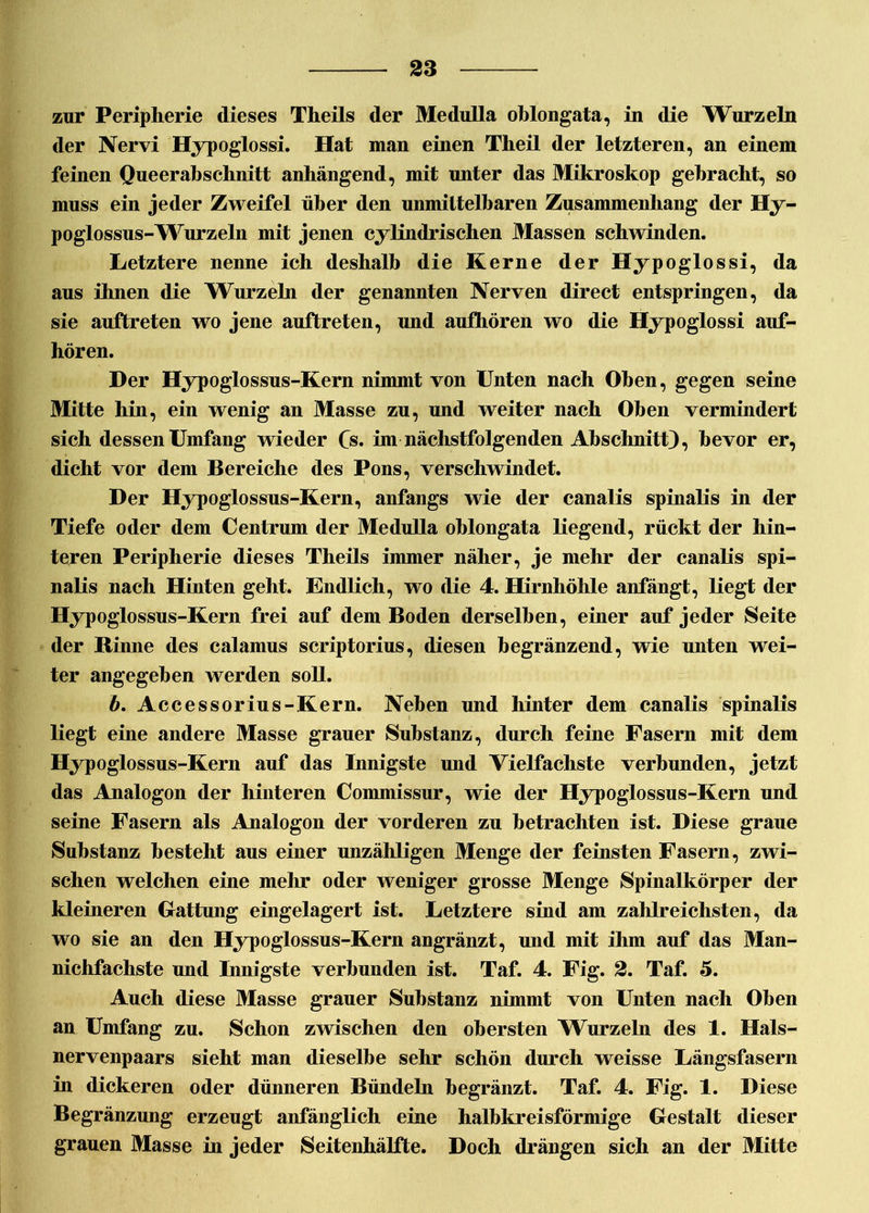 zur Peripherie dieses Theils der Medulla oblongata, in die Wurzeln der Nervi Hypoglossi. Hat man einen Theil der letzteren, an einem feinen Queerabschnitt anhängend, mit unter das Mikroskop gebracht, so muss ein jeder Zweifel über den unmittelbaren Zusammenhang der Hy- po gl ossiis- Wurzeln mit jenen cylindrischen Massen schwinden. Letztere nenne ich deshalb die Kerne der Hypoglossi, da aus ihnen die Wurzeln der genannten Nerven direct entspringen, da sie auftreten wo jene auftreten, und aufhören wo die Hypoglossi auf- hören. Der Hypoglossus-Kern nimmt von Unten nach Oben, gegen seine Mitte hin, ein wenig an Masse zu, und weiter nach Oben vermindert sich dessen Umfang wieder Cs. im nächstfolgenden Abschnitt), bevor er, dicht vor dem Bereiche des Pons, verschwindet. Der Hypoglossus-Kern, anfangs wie der canalis spinalis in der Tiefe oder dem Centrum der Medulla oblongata liegend, rückt der hin- teren Peripherie dieses Theils immer näher, je mehr der canalis spi- nalis nach Hinten geht. Endlich, wo die 4. Hirnhöhle anfängt, liegt der Hypoglossus-Kern frei auf dem Boden derselben, einer auf jeder Seite der Rinne des calamus scriptorius, diesen hegränzend, wie unten wei- ter angegeben werden soll. b. Accessorius-Kern. Neben und hinter dem canalis spinalis liegt eine andere Masse grauer Substanz, durch feine Fasern mit dem Hypoglossus-Kern auf das Innigste und Vielfachste verbunden, jetzt das Analogon der hinteren Commissur, wie der Hypoglossus-Kern und seine Fasern als Analogon der vorderen zu betrachten ist. Diese graue Substanz besteht aus einer unzähligen Menge der feinsten Fasern, zwi- schen welchen eine mehr oder weniger grosse Menge Spinalkörper der kleineren Gattung eingelagert ist. Letztere sind am zalilreichsten, da wo sie an den Hypoglossus-Kern angränzt, und mit ihm auf das Man- nichfachste und Innigste verbunden ist. Taf. 4. Fig. 2. Taf. 5. Auch diese Masse grauer Substanz nimmt von Unten nach Oben an Umfang zu. Schon zwischen den obersten Wurzeln des 1. Hals- nervenpaars sieht man dieselbe sehr schön durch weisse Längsfasern in dickeren oder dünneren Bündeln begränzt. Taf. 4. Fig. 1. Diese Begränzung erzeugt anfänglich eine halbkreisförmige Gestalt dieser grauen Masse in jeder Seitenhälfte. Doch drängen sich an der Mitte