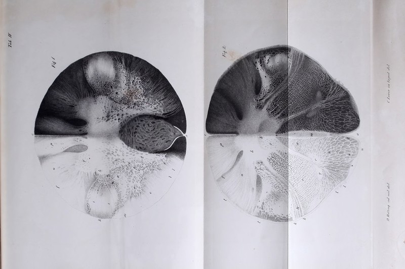 /,;/ // N5 /' r Ö JZ': Zf //(>/////ö ael /K/Z ?/< / Z Z.o//Yr /// Z/f/j/fZ (Zf z