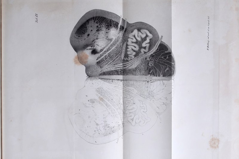 VkA // ff /foY/rno' f/r/ /Kr/ r/ /// /u/r/t/ ////