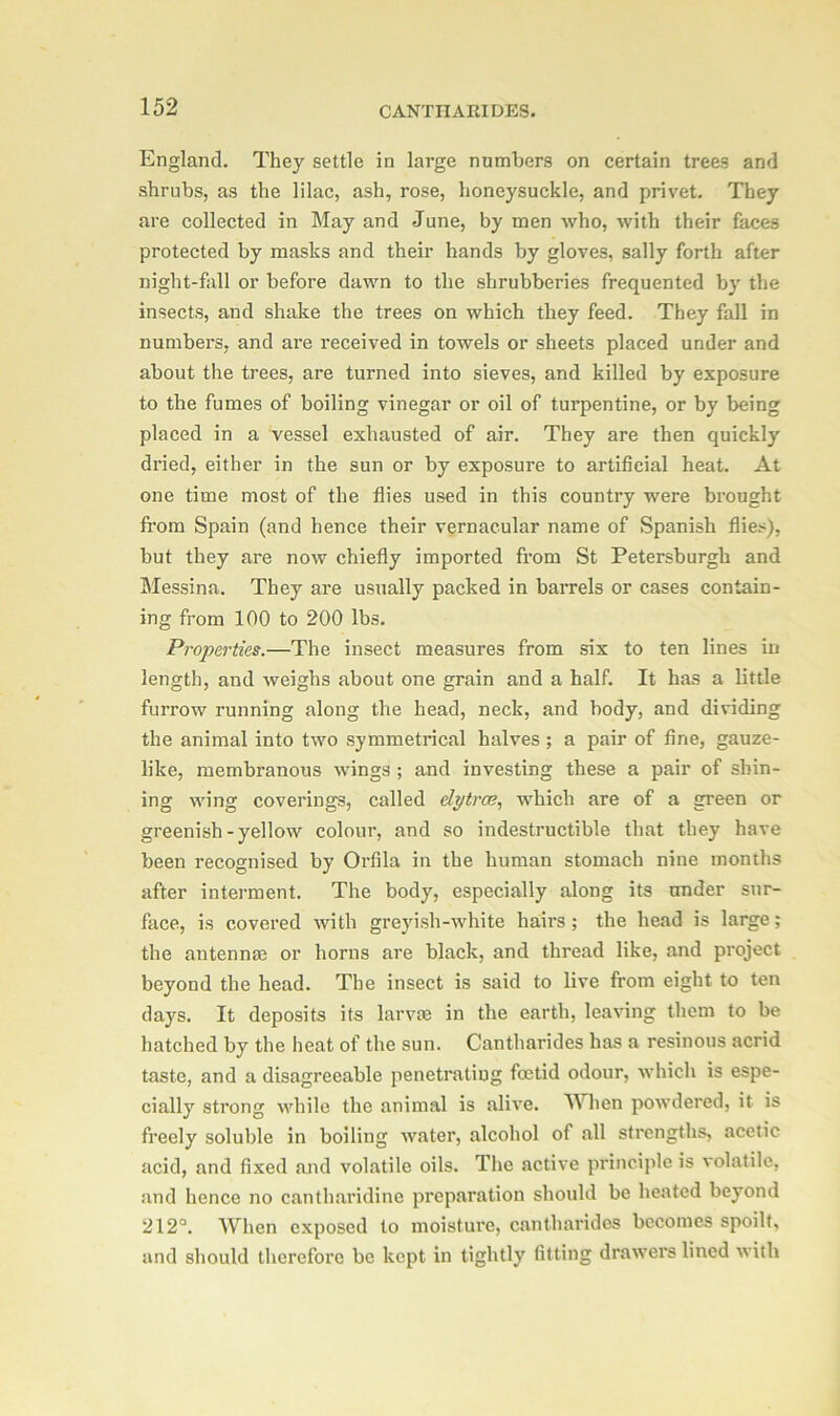 England. They settle in large numbers on certain trees and shrubs, as the lilac, ash, rose, honeysuckle, and privet. They are collected in May and June, by men who, with their faces protected by masks and their hands by gloves, sally forth after night-fall or before dawn to the shrubberies frequented by the insects, and shake the trees on which they feed. They fall in numbers, and are received in towels or sheets placed under and about the trees, are turned into sieves, and killed by exposure to the fumes of boiling vinegar or oil of turpentine, or by being placed in a vessel exhausted of air. They are then quickly dried, either in the sun or by exposure to artificial heat. At one time most of the flies used in this country were brought from Spain (and hence their vernacular name of Spanish flies), but they are now chiefly imported from St Petersburgh and Messina. They are usually packed in barrels or cases contain- ing from 100 to 200 lbs. Properties.—The insect measures from six to ten lines in length, and weighs about one grain and a half. It has a little furrow running along the head, neck, and body, and dividing the animal into two symmetrical halves; a pair of fine, gauze- like, membranous wings ; and investing these a pair of shin- ing wing coverings, called elytra?, which are of a green or greenish - yellow colour, and so indestructible that they have been recognised by Orfila in the human stomach nine months after interment. The body, especially along its under sur- face, is covered with greyish-white hairs ; the head is large; the antennas or horns are black, and thread like, and project beyond the head. The insect is said to live from eight to ten days. It deposits its larvje in the earth, leaving them to be hatched by the heat of the sun. Cantharides has a resinous acrid taste, and a disagreeable penetrating foetid odour, which is espe- cially strong while the animal is alive. When powdered, it is freely soluble in boiling water, alcohol of all strengths, acetic acid, and fixed and volatile oils. The active principle is volatile, and hence no cantharidine preparation should be heated beyond 212°. When exposed to moisture, cantharides becomes spoilt, and should therefore be kept in tightly fitting drawers lined with