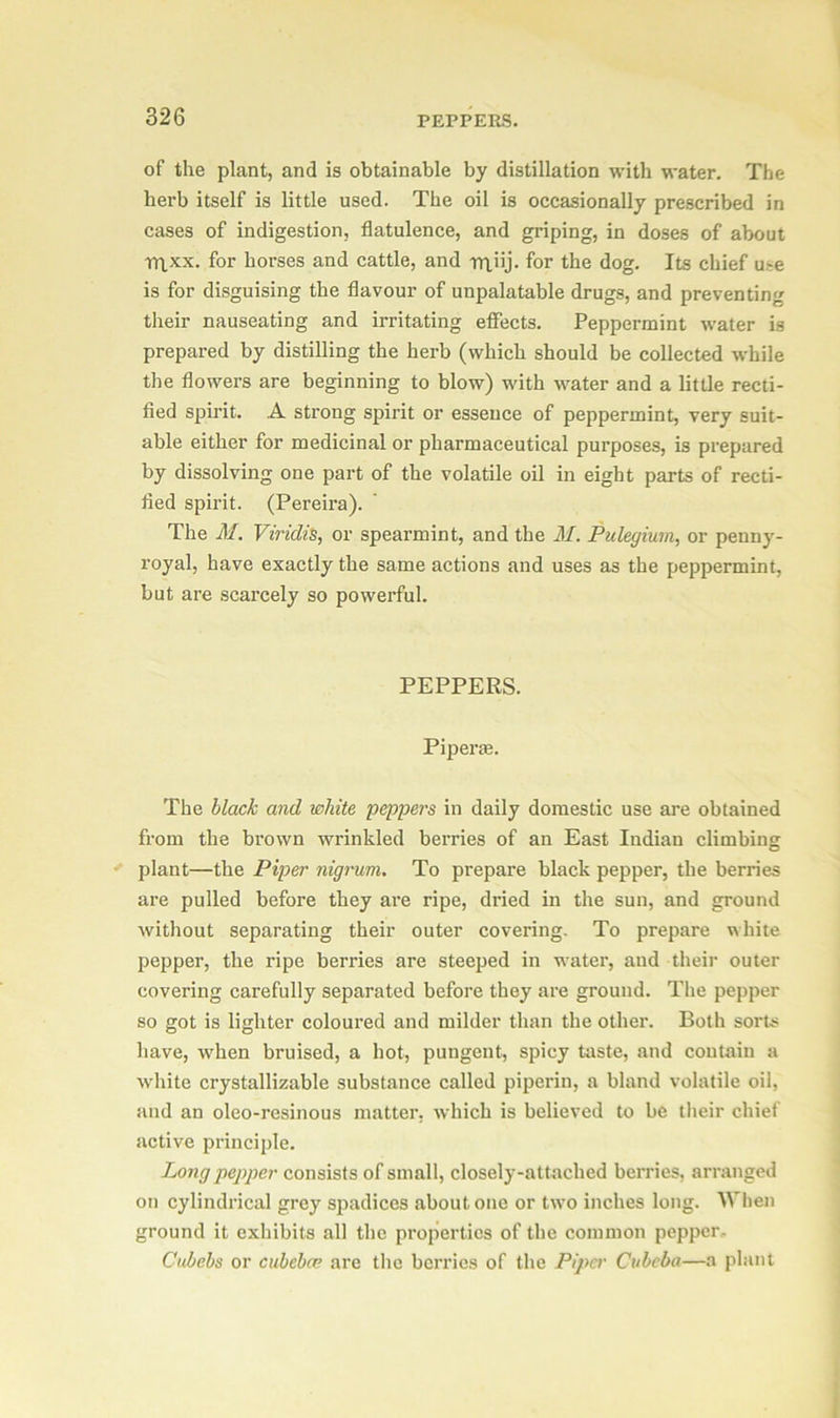 of the plant, and is obtainable by distillation with water. The herb itself is little used. The oil is occasionally prescribed in cases of indigestion, flatulence, and griping, in doses of about tr\xx. for horses and cattle, and rrtiij. for the dog. Its chief use is for disguising the flavour of unpalatable drugs, and preventing their nauseating and irritating effects. Peppermint water is prepared by distilling the herb (which should be collected while the flowers are beginning to blow) with water and a little recti- fied spirit. A strong spirit or essence of peppermint, very suit- able either for medicinal or pharmaceutical purposes, is prepared by dissolving one part of the volatile oil in eight parts of recti- fied spirit. (Pereira). The M. Viridis, or spearmint, and the M. Pulegium, or penny- royal, have exactly the same actions and uses as the peppermint, but are scarcely so powerful. PEPPERS. Piper®. The black and white peppers in daily domestic use are obtained from the brown wrinkled berries of an East Indian climbing plant—the Piper nigrum. To prepare black pepper, the berries are pulled before they are ripe, dried in the sun, and ground without separating their outer covering. To prepare white pepper, the ripe berries are steeped in water, and their outer covering carefully separated before they are ground. The pepper so got is lighter coloured and milder than the other. Both sorts have, when bruised, a hot, pungent, spicy taste, and contain a white crystallizable substance called piperin, a bland volatile oil, and an oleo-resinous matter, which is believed to be their chief active principle. Long pepper consists of small, closely-attached berries, arranged on cylindrical grey spadices about one or two inches long. When ground it exhibits all the properties of the common pepper- Cubebs or cubebce are the berries of the Piper Cubeba—a plant