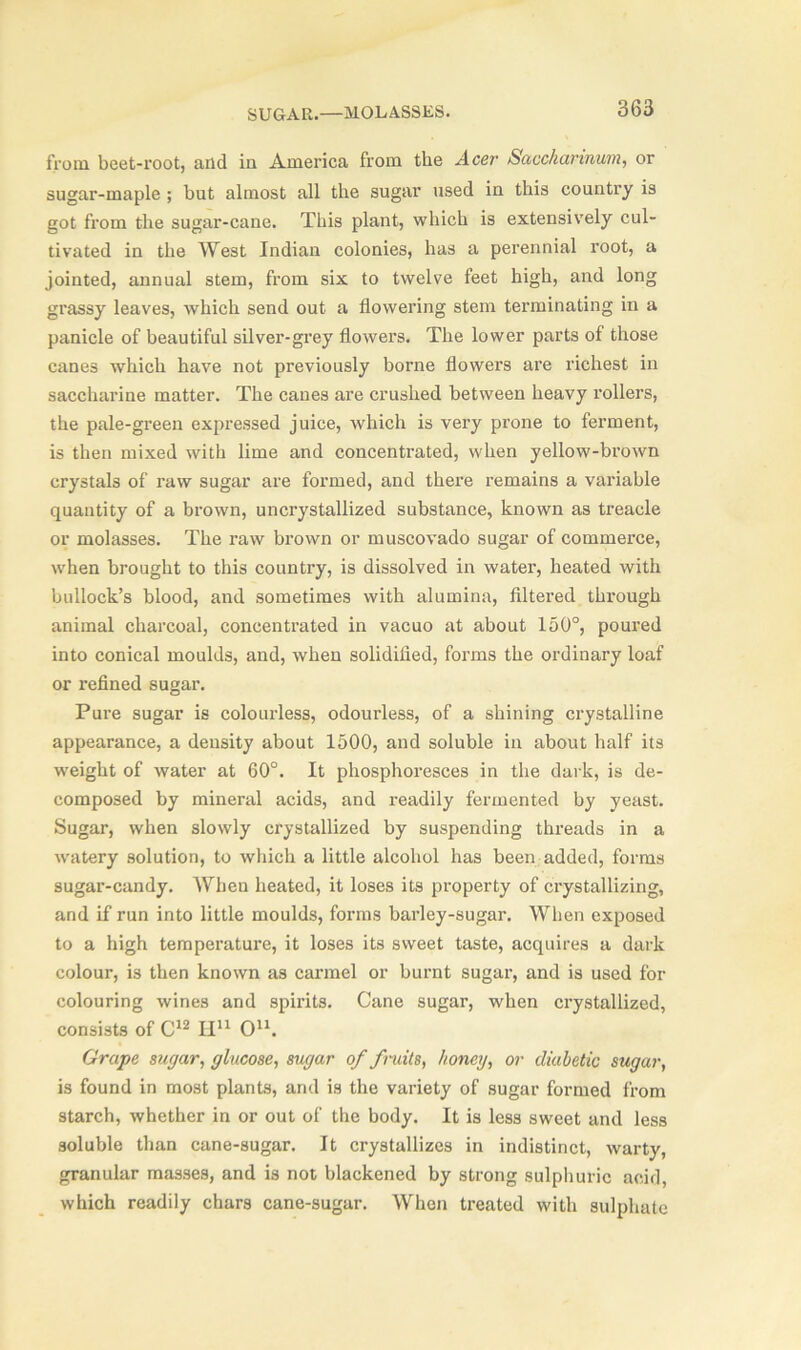 from beet-root, and in America from the Acer Saccharinum, or sugar-maple ; but almost all the sugar used in this country is got from the sugar-cane. This plant, which is extensively cul- tivated in the West Indian colonies, has a perennial root, a jointed, annual stem, from six to twelve feet high, and long grassy leaves, which send out a flowering stem terminating in a panicle of beautiful silver-grey flowers. The lower parts of those canes which have not previously borne flowers are richest in saccharine matter. The canes are crushed between heavy rollers, the pale-green expressed juice, which is very prone to ferment, is then mixed with lime and concentrated, when yellow-brown crystals of raw sugar are formed, and there remains a variable quantity of a brown, uncrystallized substance, known as treacle or molasses. The raw brown or muscovado sugar of commerce, when brought to this country, is dissolved in water, heated with bullock’s blood, and sometimes with alumina, filtered through animal charcoal, concentrated in vacuo at about 150°, poured into conical moulds, and, when solidified, forms the ordinary loaf or refined sugar. Pure sugar is colourless, odourless, of a shining crystalline appearance, a density about 1500, and soluble in about half its weight of water at 60°. It phosphoresces in the dark, is de- composed by mineral acids, and readily fermented by yeast. Sugar, when slowly crystallized by suspending threads in a watery solution, to which a little alcohol has been added, forms sugar-candy. When heated, it loses its property of crystallizing, and if run into little moulds, forms barley-sugar. When exposed to a high temperature, it loses its sweet taste, acquires a dark colour, is then known as carmel or burnt sugar, and is used for colouring wines and spirits. Cane sugar, when crystallized, consists of C12 II11 O11. Grape sugar, glucose, sugar of fruits, honey, or diabetic sugar, is found in most plants, and is the variety of sugar formed from starch, whether in or out of the body. It is less sweet and less soluble than cane-sugar. It crystallizes in indistinct, warty, granular masses, and is not blackened by strong sulphuric acid, which readily chars cane-sugar. When treated with sulphate