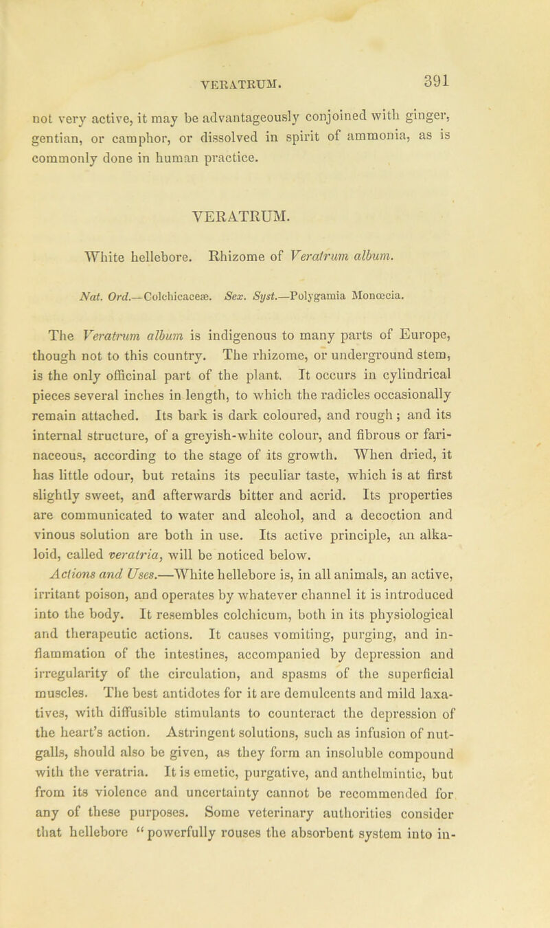 not very active, it may be advantageously conjoined with ginger, gentian, or camphor, or dissolved in spirit of ammonia, as is commonly done in human practice. VERATRUM. White hellebore. Rhizome of Veratrum album. Nat. Orel.—Colchicacese. Sex. Syst.—Polygamia Moncecia. The Veratrum album is indigenous to many parts of Europe, though not to this country. The rhizome, or underground stem, is the only officinal part of the plant. It occurs in cylindrical pieces several inches in length, to which the radicles occasionally remain attached. Its bark is dark coloured, and rough ; and its internal structure, of a greyish-white colour, and fibrous or fari- naceous, according to the stage of its growth. When dried, it has little odour, but retains its peculiar taste, which is at first slightly sweet, and afterwards bitter and acrid. Its properties are communicated to water and alcohol, and a decoction and vinous solution are both in use. Its active principle, an alka- loid, called veratria, will be noticed below. Actions and Uses.—White hellebore is, in all animals, an active, irritant poison, and operates by whatever channel it is introduced into the body. It resembles colchicum, both in its physiological and therapeutic actions. It causes vomiting, purging, and in- flammation of the intestines, accompanied by depression and irregularity of the circulation, and spasms of the superficial muscles. The best antidotes for it are demulcents and mild laxa- tives, with diffusible stimulants to counteract the depression of the heart’s action. Astringent solutions, such as infusion of nut- galls, should also be given, as they form an insoluble compound with the veratria. It is emetic, purgative, and anthelmintic, but from its violence and uncertainty cannot be recommended for any of these purposes. Some veterinary authorities consider that hellebore “powerfully rouses the absorbent system into in-