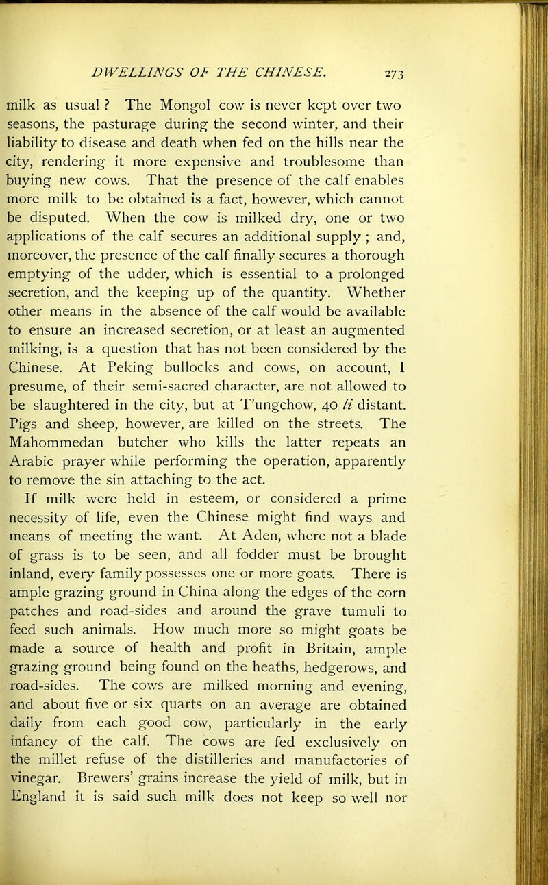 milk as usual ? The Mongol cow is never kept over two seasons, the pasturage during the second winter, and their liability to disease and death when fed on the hills near the city, rendering it more expensive and troublesome than buying new cows. That the presence of the calf enables more milk to be obtained is a fact, however, which cannot be disputed. When the cow is milked dry, one or two applications of the calf secures an additional supply ; and, moreover, the presence of the calf finally secures a thorough emptying of the udder, which is essential to a prolonged secretion, and the keeping up of the quantity. Whether other means in the absence of the calf would be available to ensure an increased secretion, or at least an augmented milking, is a question that has not been considered by the Chinese. At Peking bullocks and cows, on account, I presume, of their semi-sacred character, are not allowed to be slaughtered in the city, but at T’ungchow, 40 li distant. Pigs and sheep, however, are killed on the streets. The Mahommedan butcher who kills the latter repeats an Arabic prayer while performing the operation, apparently to remove the sin attaching to the act. If milk were held in esteem, or considered a prime necessity of life, even the Chinese might find ways and means of meeting the want. At Aden, where not a blade of grass is to be seen, and all fodder must be brought inland, every family possesses one or more goats. There is ample grazing ground in China along the edges of the corn patches and road-sides and around the grave tumuli to feed such animals. How much more so might goats be made a source of health and profit in Britain, ample grazing ground being found on the heaths, hedgerows, and road-sides. The cows are milked morning and evening, and about five or six quarts on an average are obtained daily from each good cow, particularly in the early infancy of the calf. The cows are fed exclusively on the millet refuse of the distilleries and manufactories of vinegar. Brewers’ grains increase the yield of milk, but in England it is said such milk does not keep so well nor