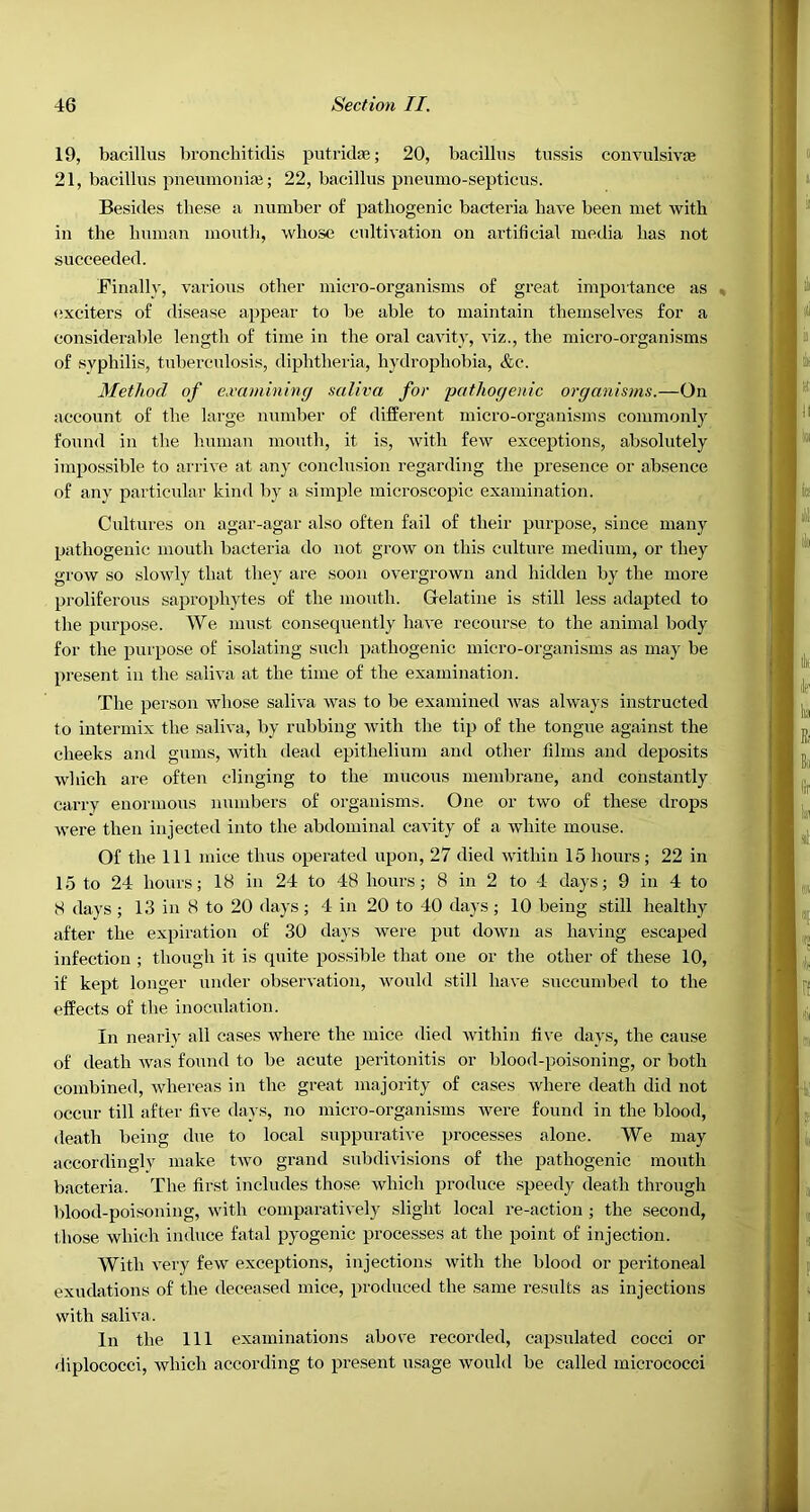 19, bacillus broncbitidis putrid*; 20, bacillus tussis convulsiv* 21, bacillus pneumoniaj; 22, bacillus pneumo-septicus. Besides these a number of pathogenic bacteria have been met with in the human mouth, whose cultivation on artificial media has not succeeded. Finally, various other micro-organisms of great importance as exciters of disease appear to be able to maintain themselves for a considerable length of time in the oral cavity, viz., the micro-organisms of syphilis, tuberculosis, diphtheria, hydrophobia, &e. Method of examining saliva for pathogenic organisms.—On account of the large number of different micro-organisms commonly found in the Imman month, it is, rvith few exceptions, absolutely impossible to arrive at any conclusion regarding the presence or absence of anv particular kind by a simple microscopic examination. Cultures on agar-agar also often fail of their purpose, since many pathogenic mouth bacteria do not grow on this culture medium, or they grow so slowly that they are soon overgrown and hidden by the more proliferous saprophytes of the mouth. Gelatine is still less adapted to the purpose. We must consecpiently have recourse to the animal body for the purpose of isolating such pathogenic micro-organisms as may be present in the saliva at the time of the examination. The person whose saliva was to be examined was alw'ays instructed to intermix the saliva, by rubbing with the tip of the tongue against the cheeks and gums, with dead epithelium and other films and deposits which are often clinging to the mucous membrane, and constantly carry enoi'uious nnmbers of organisms. One or two of these drops were then injected into the abdominal cavity of a white mouse. Of the 111 mice thus operated upon, 27 died within 15 hours; 22 in 15 to 24 hours; 18 in 24 to 48 hours; 8 in 2 to 4 days; 9 in 4 to 8 days ; 13 in 8 to 20 days; 4 in 20 to 40 days ; 10 being still healthy after the expiration of 30 days were put down as having escaped infection ; though it is quite possible that one or the other of these 10, if kept longer under observation, would still have succumbe<l to the effects of the inoculation. In nearly all cases where the mice died within fi\-e days, the cause of death was found to be acute peritonitis or blood-poisoning, or both combined, whereas in the great majority of cases where death did not occur till after five days, no micro-organisms were found in the blood, death being due to local suppurative processes alone. We may accordingly make two grand subdivisions of the pathogenic mouth bacteria. The first includes those which produce speedy death through blood-poisoning, with comparatively .slight local re-action ; the second, those which induce fatal pyogenic processes at the point of injection. With very few exceptions, injections with the blood or peritoneal exudations of the deceased mice, produced the same results as injections with saliva. In the 111 examinations above recorded, capsulated cocci or diplococci, which according to present asage would be called micrococci